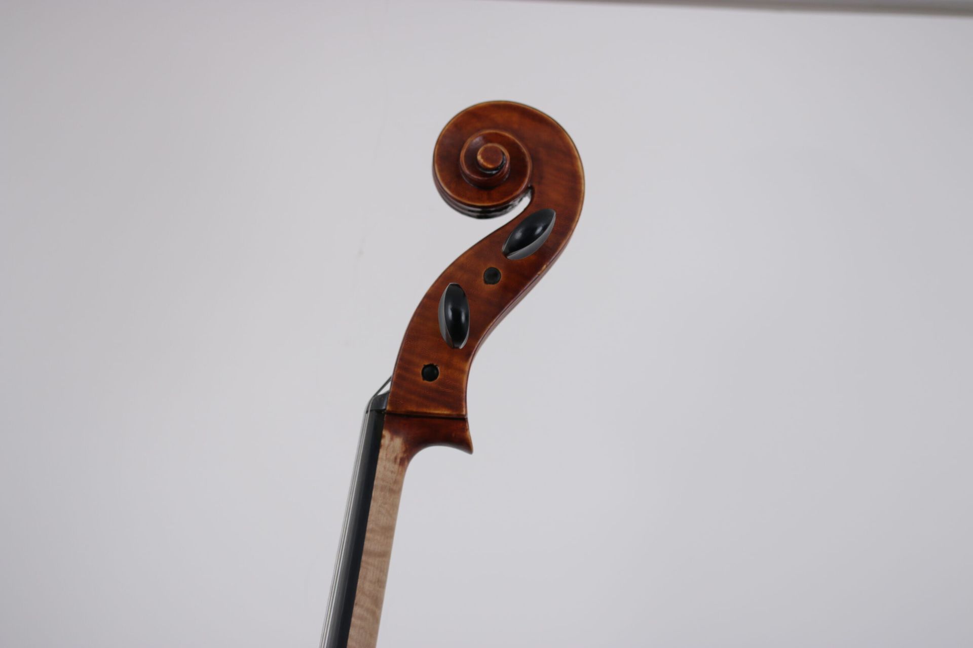 A close up of a violin head on a white background