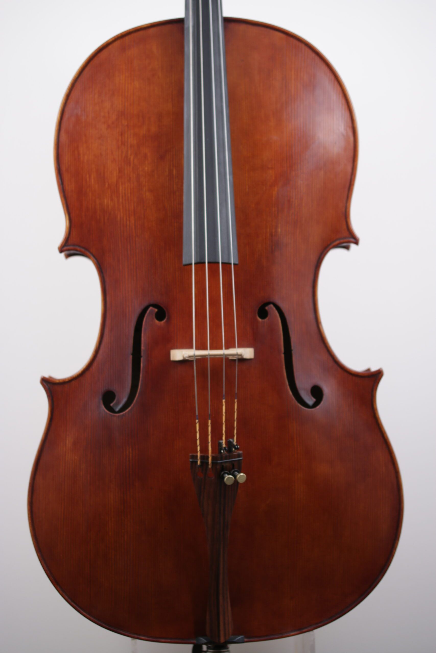 A close up of a cello with a white background
