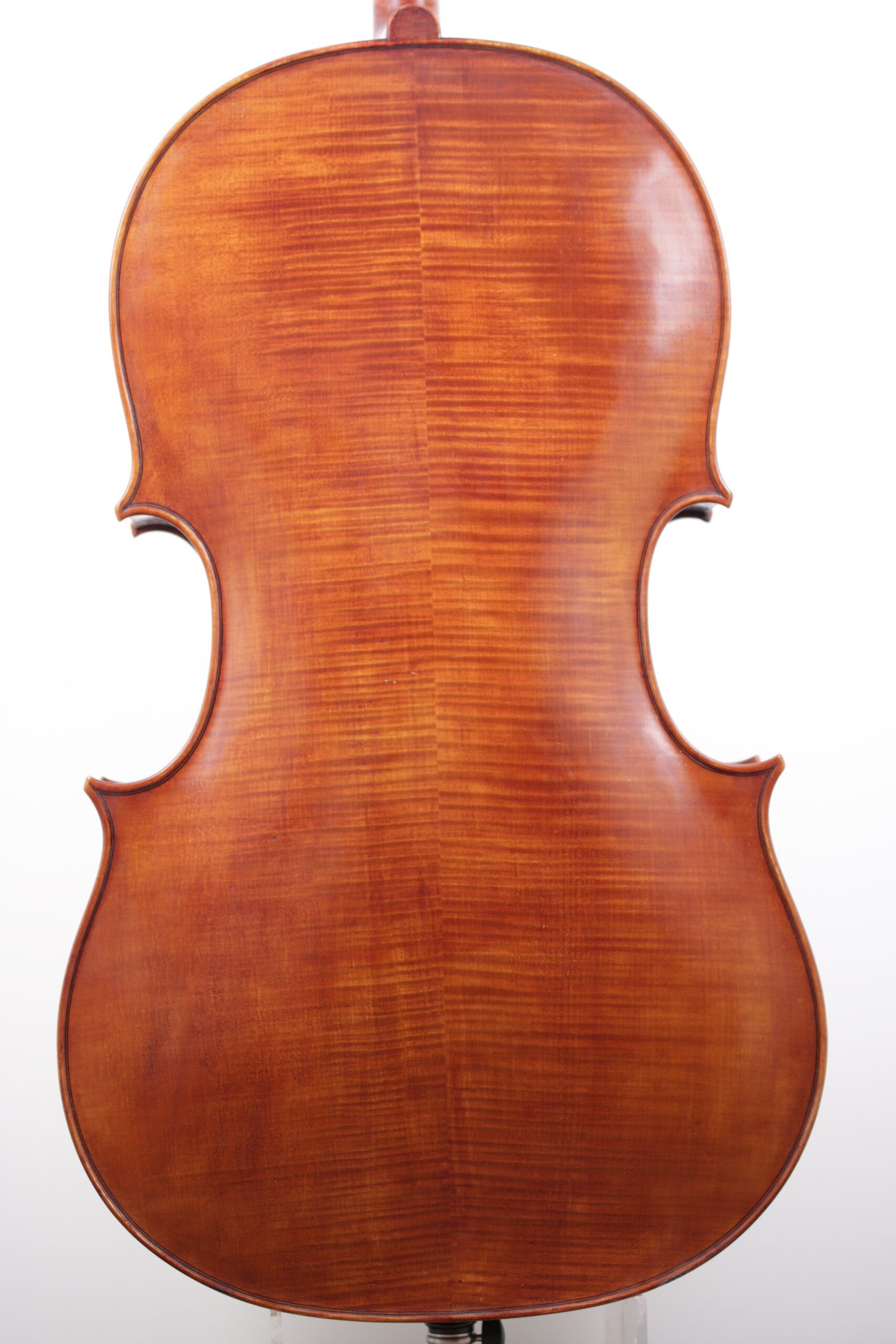 The back of a cello is shown on a white background