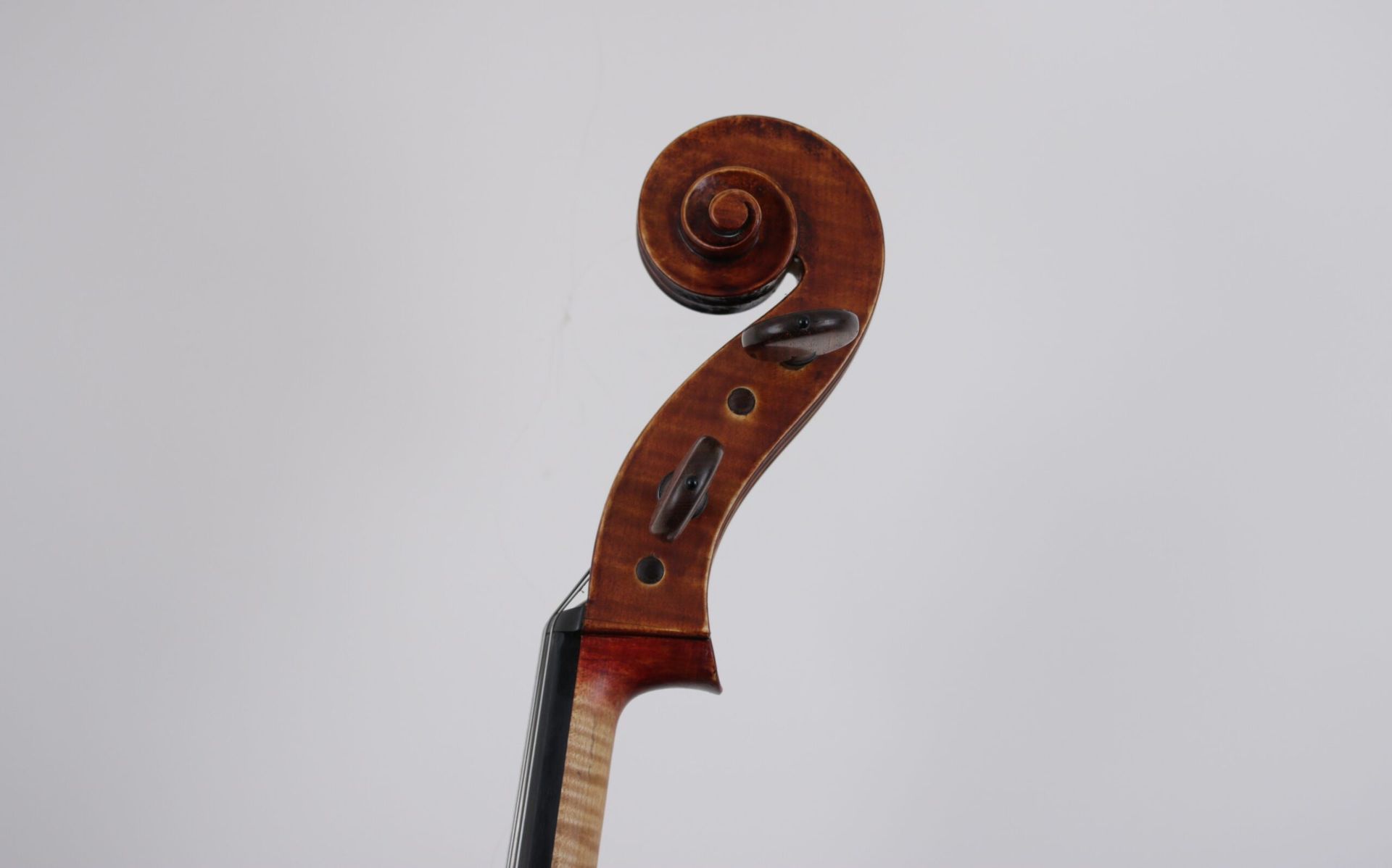 A close up of a violin head on a white background