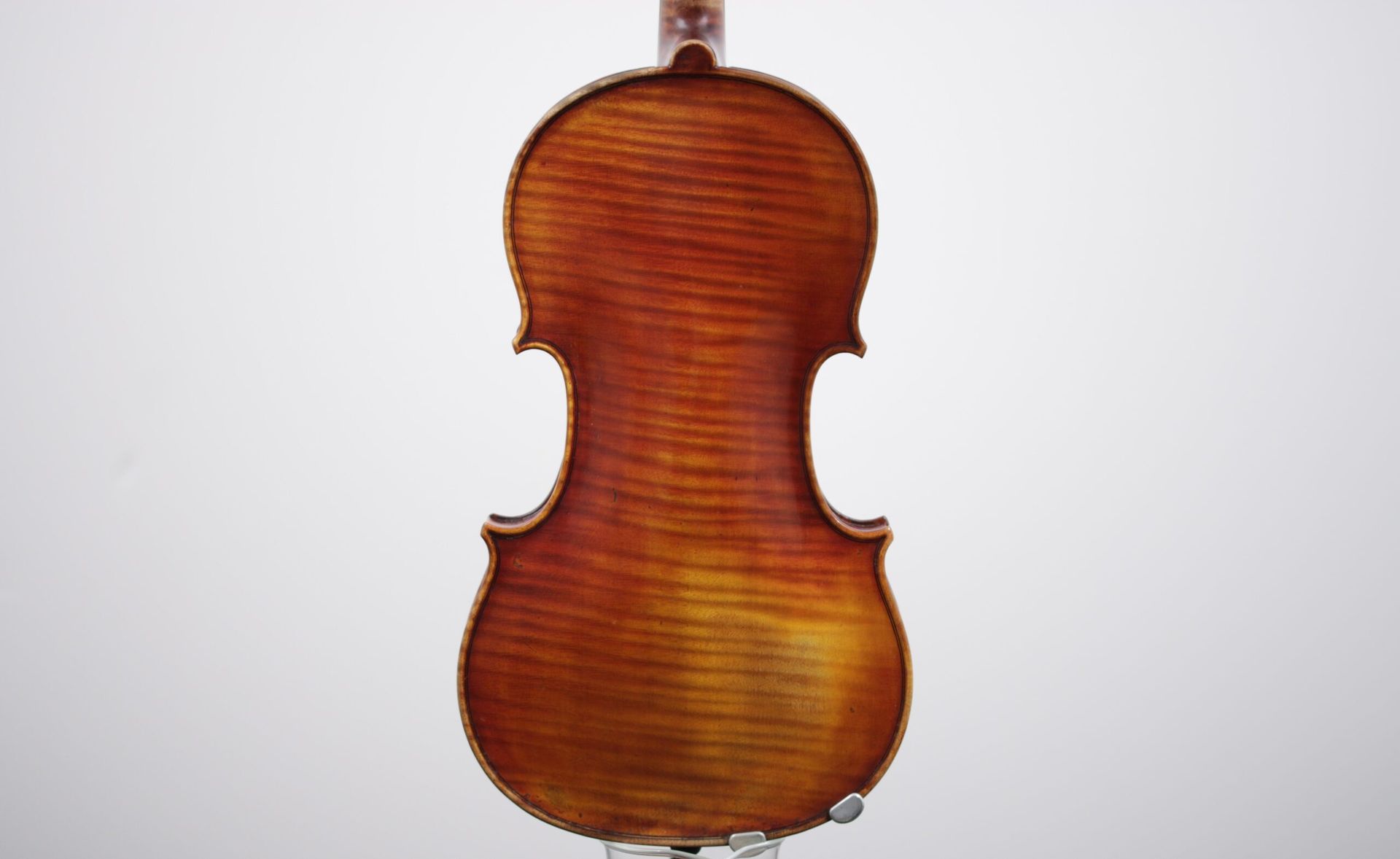 The back of a violin is shown on a white background.