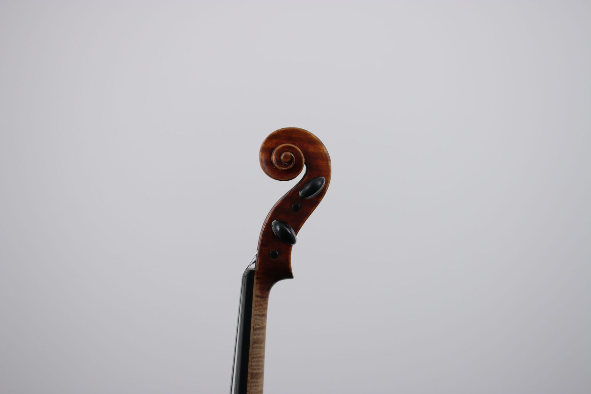 A close up of the headstock of a violin against a white background.