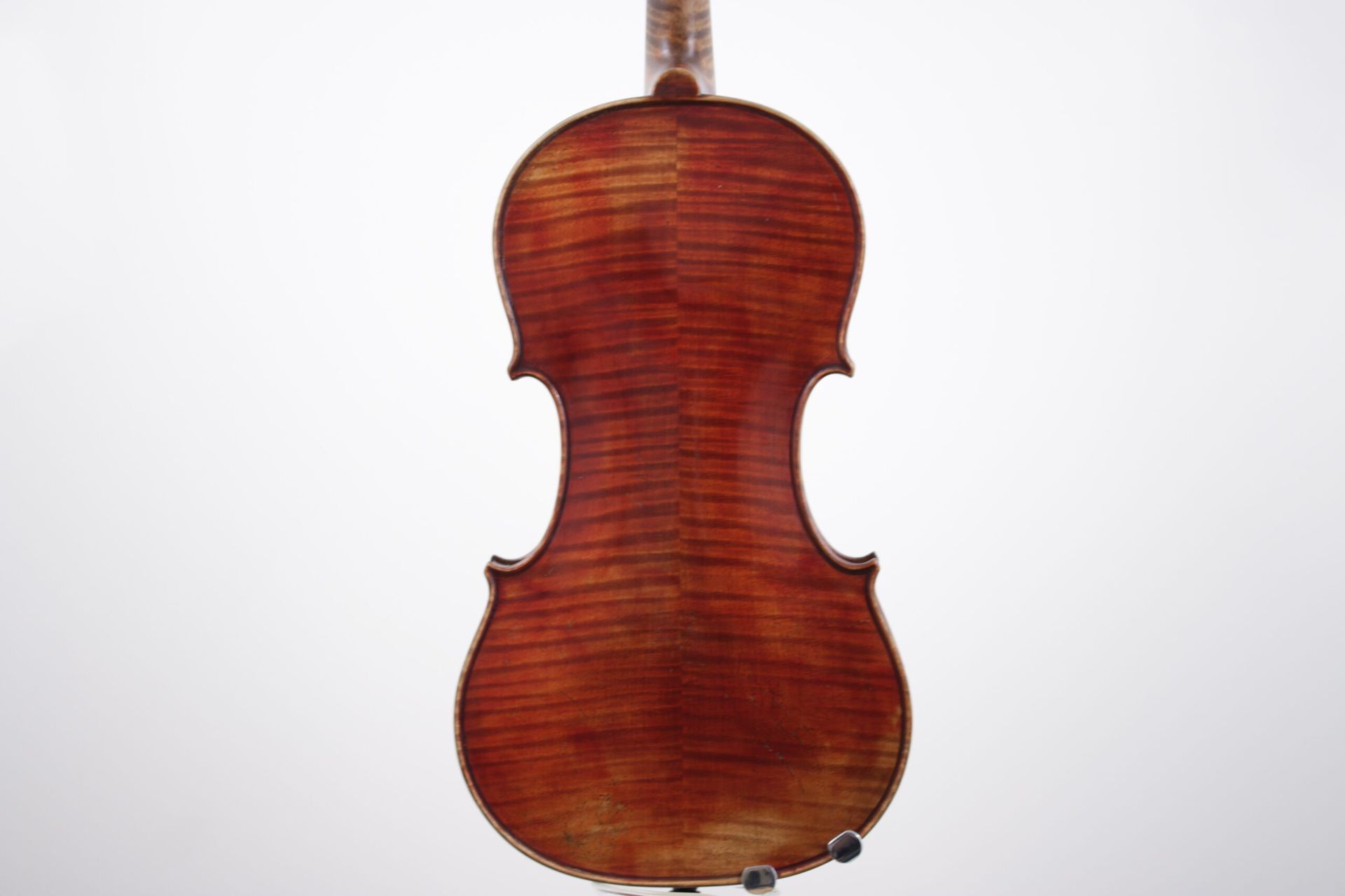 The back of a violin is shown on a white background