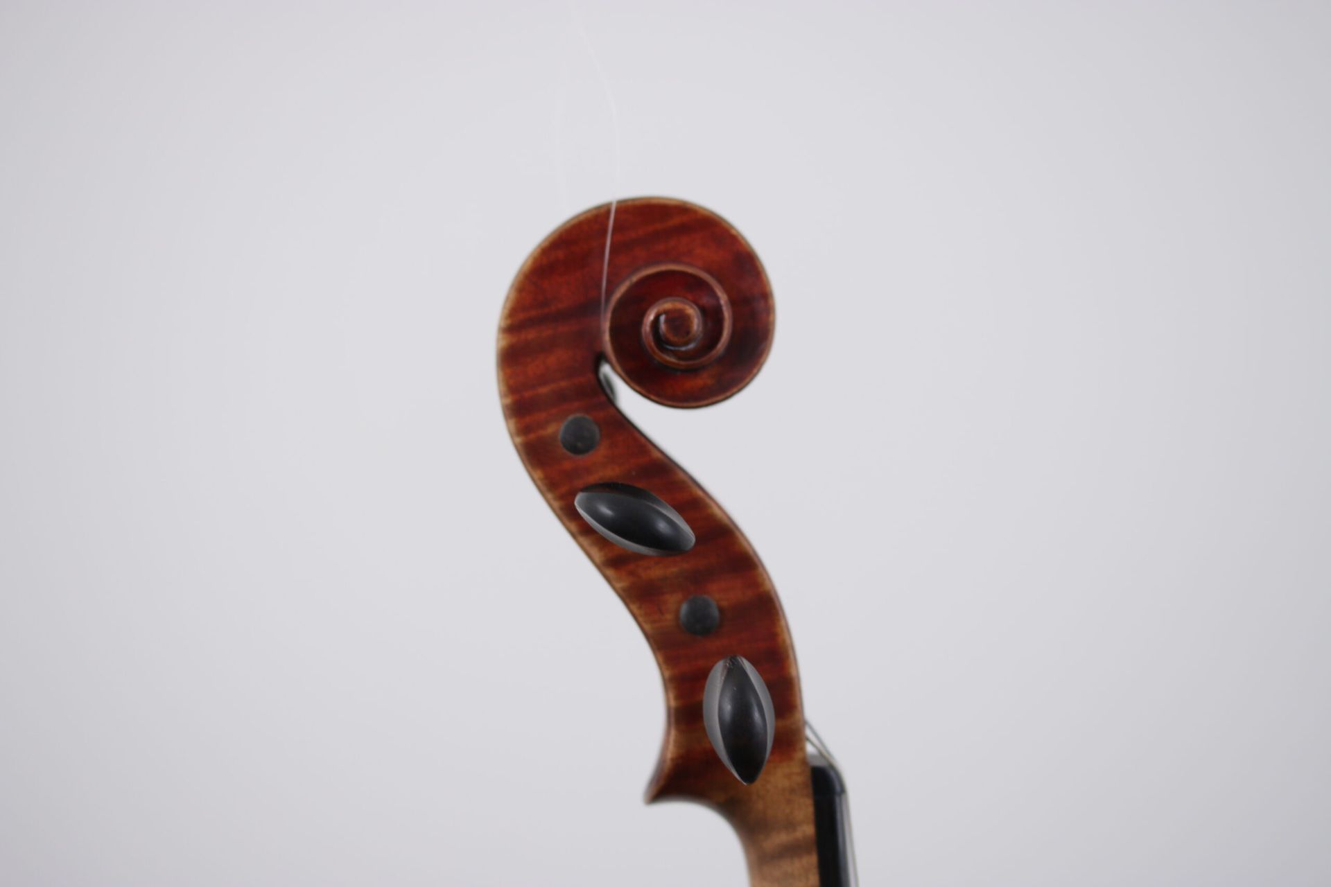 A close up of a violin headstock on a white background
