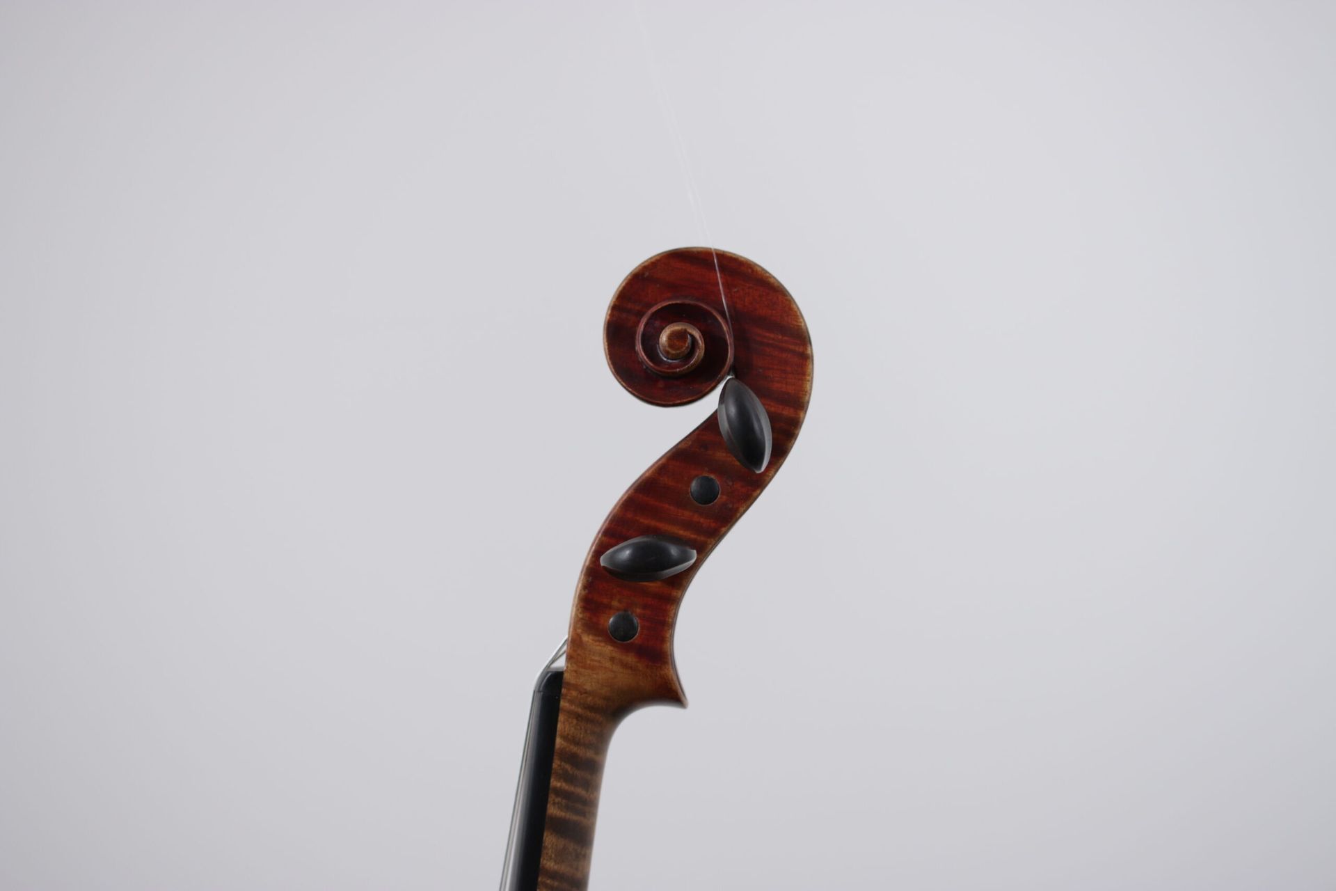 A close up of a violin headstock on a white background