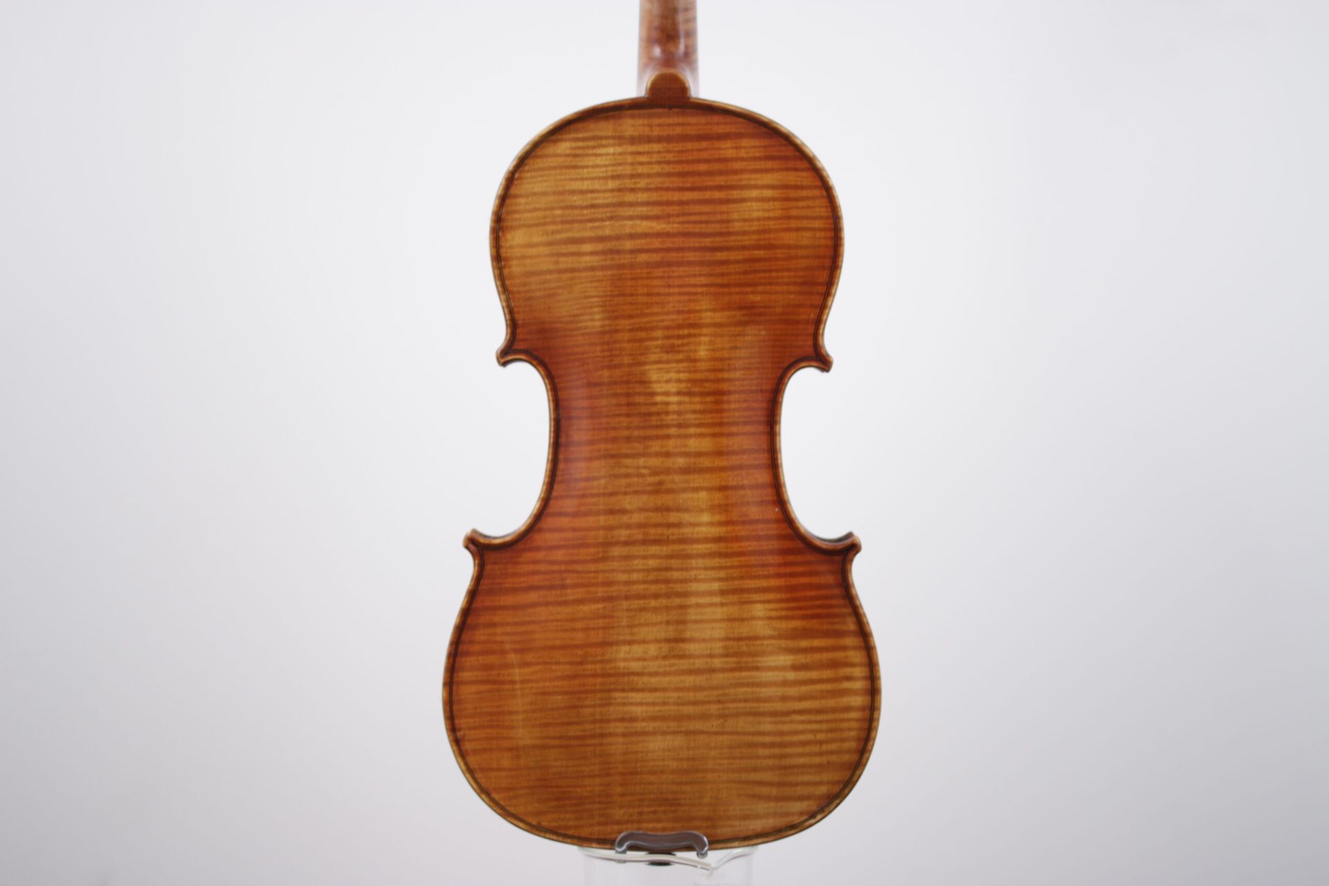 The back of a violin is shown on a white background