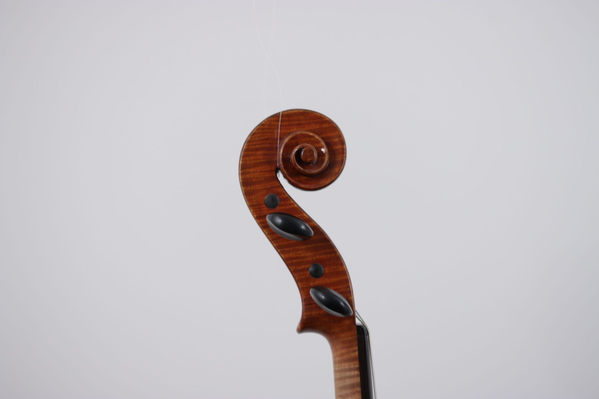 A close up of a violin 's scroll on a white background