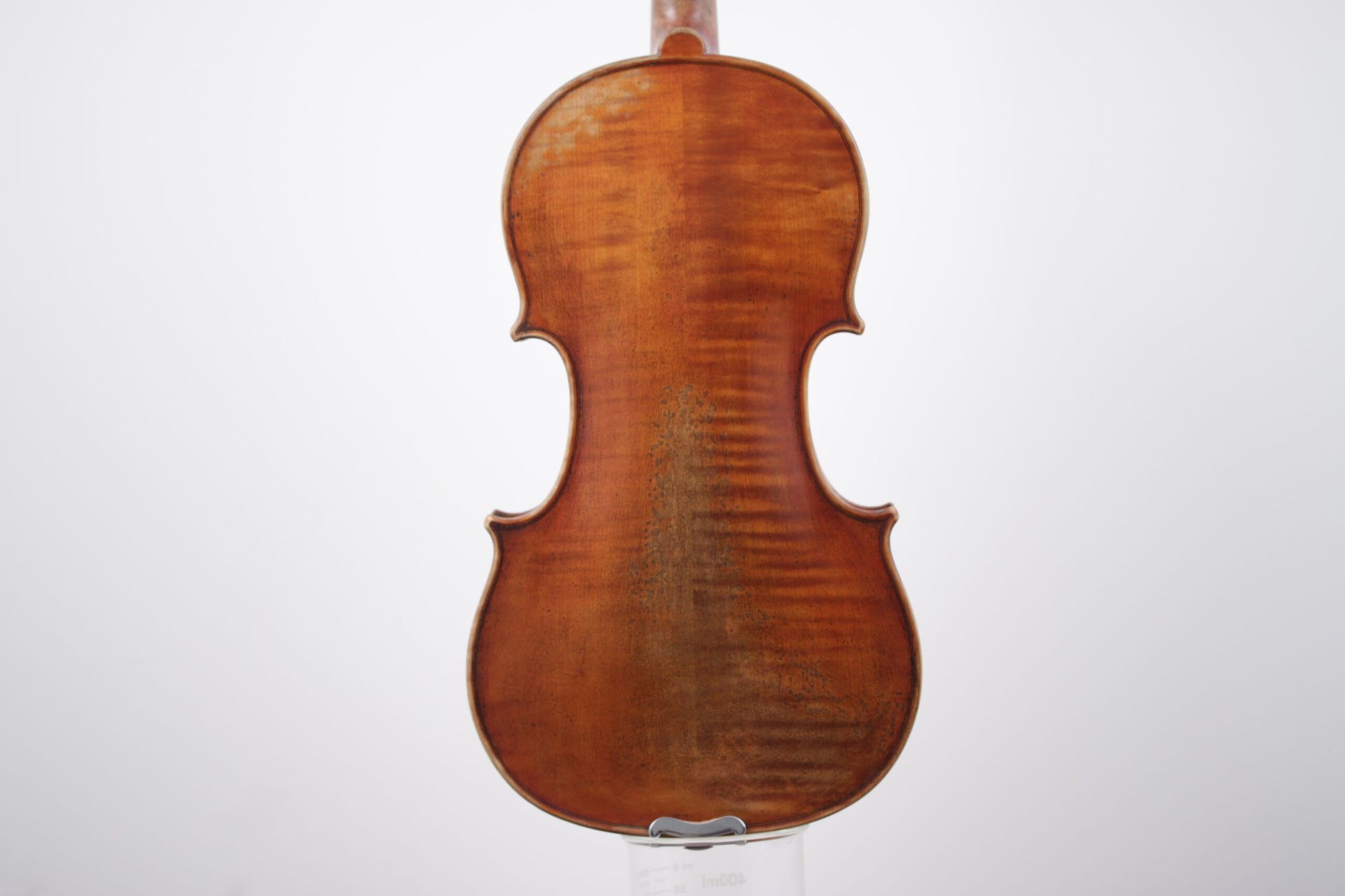 The back of a violin is shown on a white background