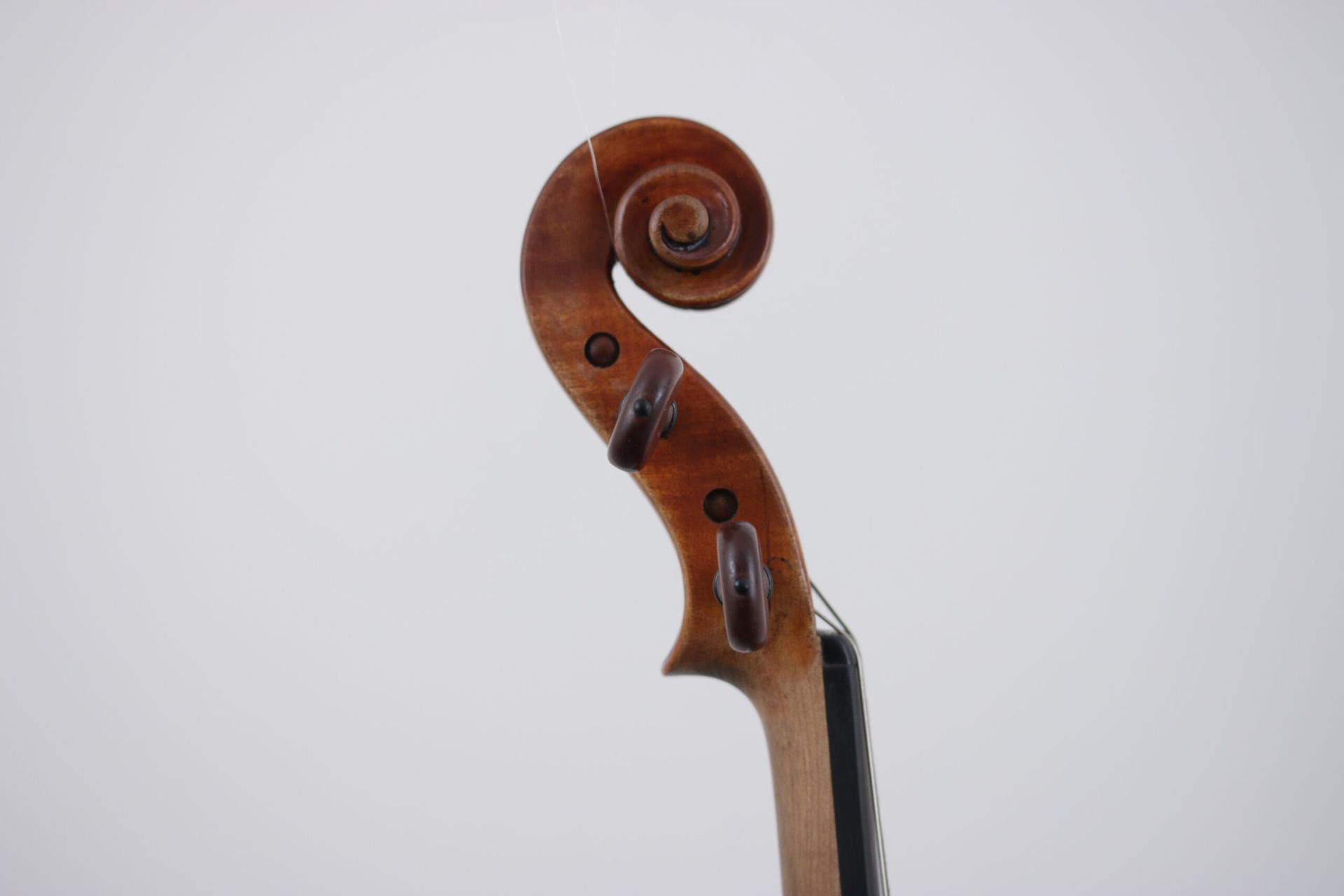 A close up of a violin headstock on a white background.