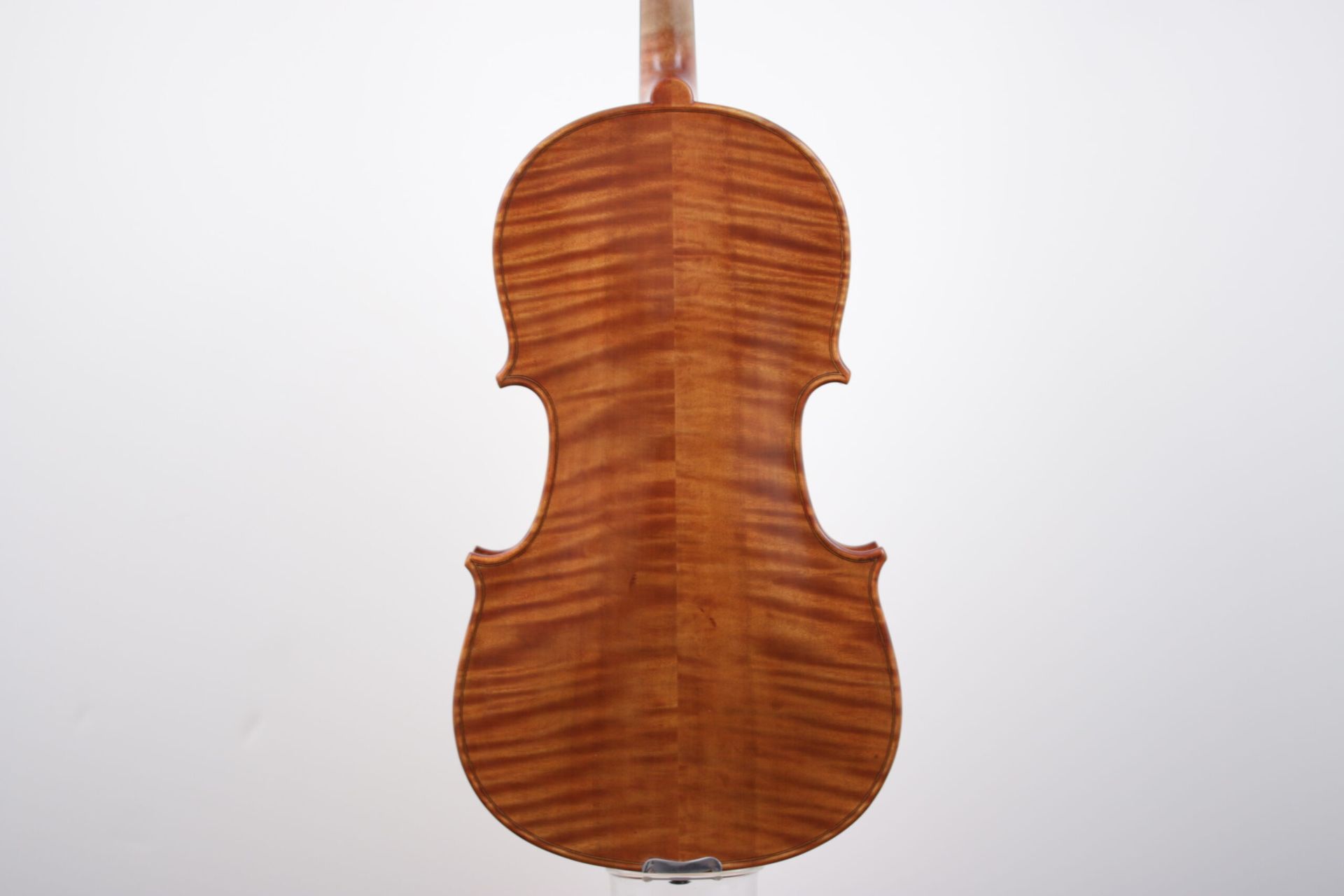 The back of a violin is shown on a white background.