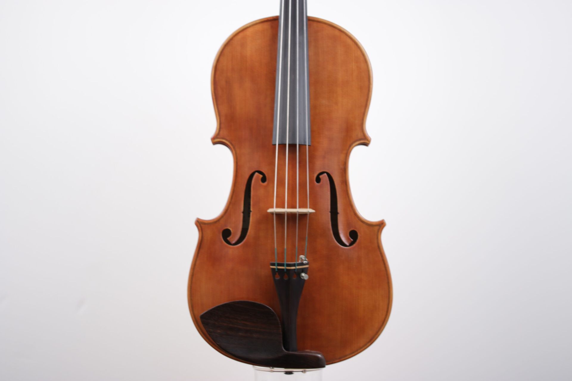 A violin with the letter s on it