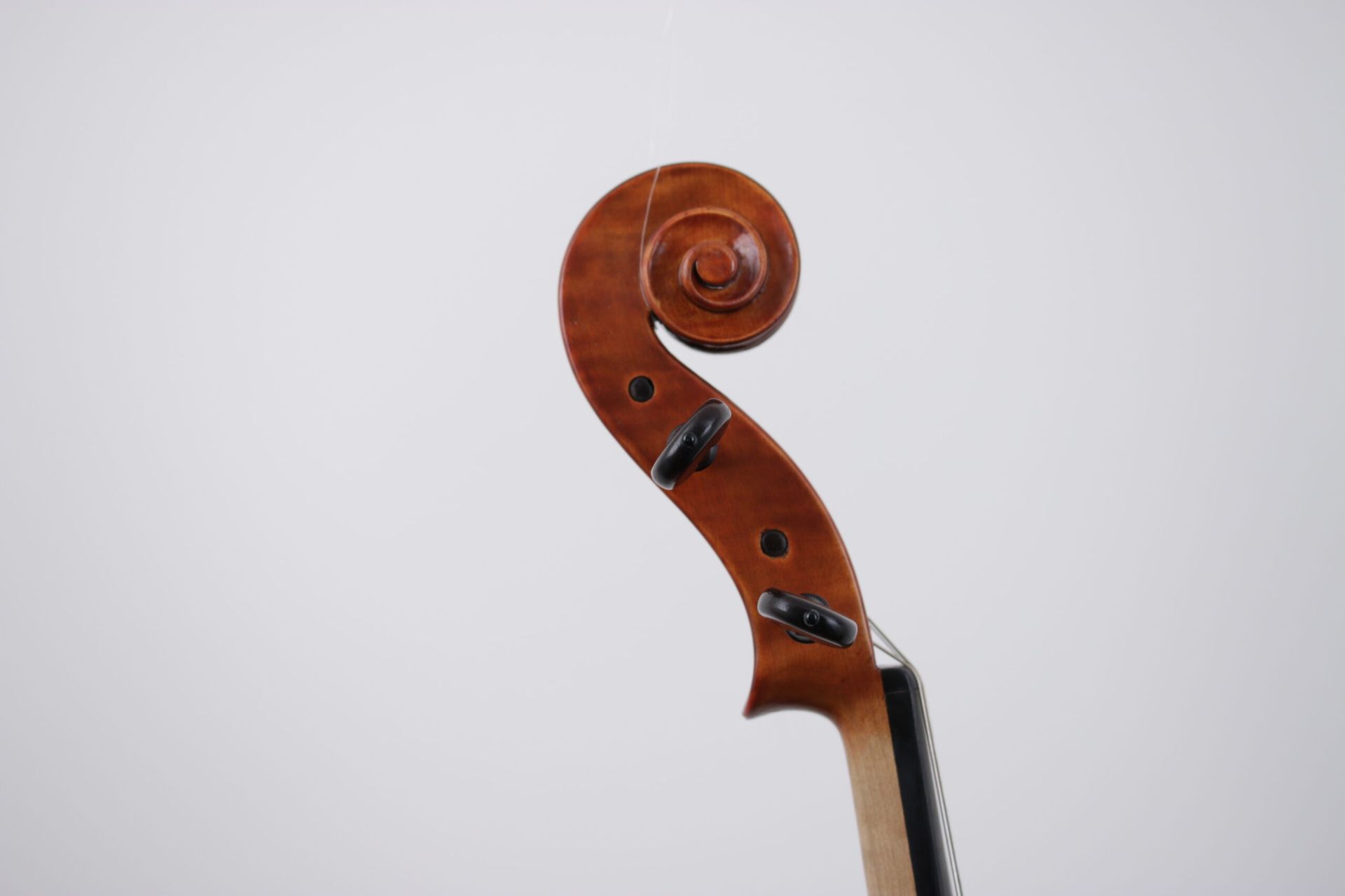 A close up of a violin scroll on a white background