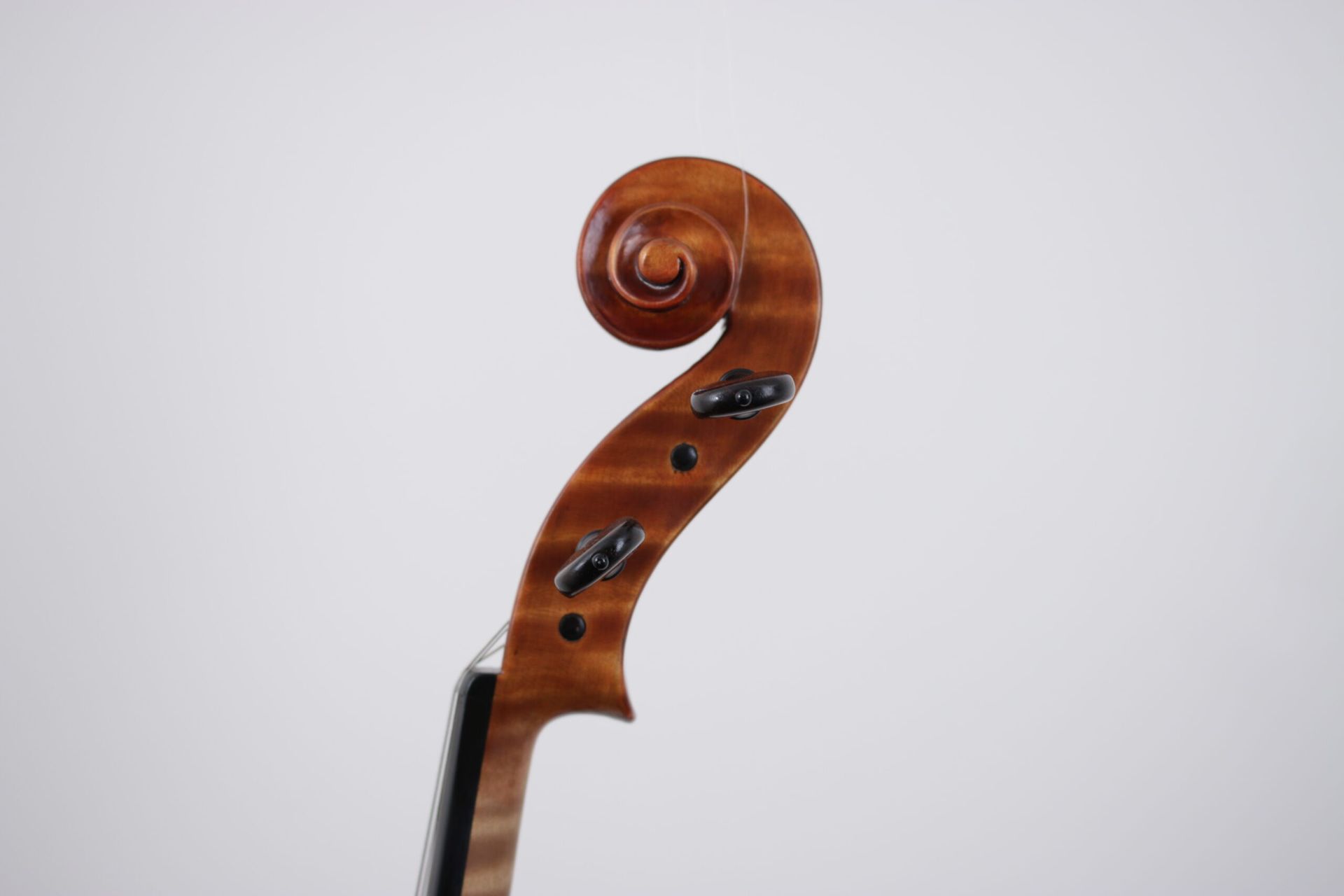 A close up of a violin head on a white background