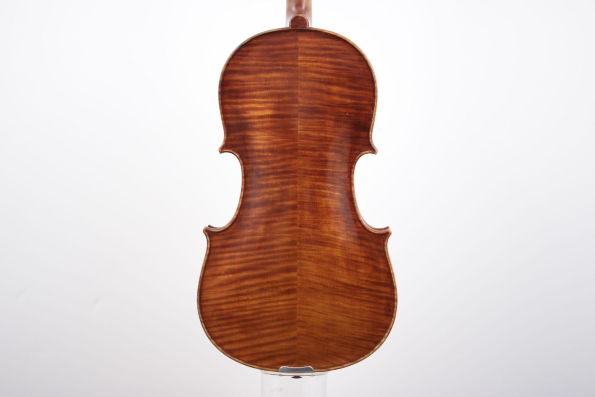 The back of a violin is shown on a white background.