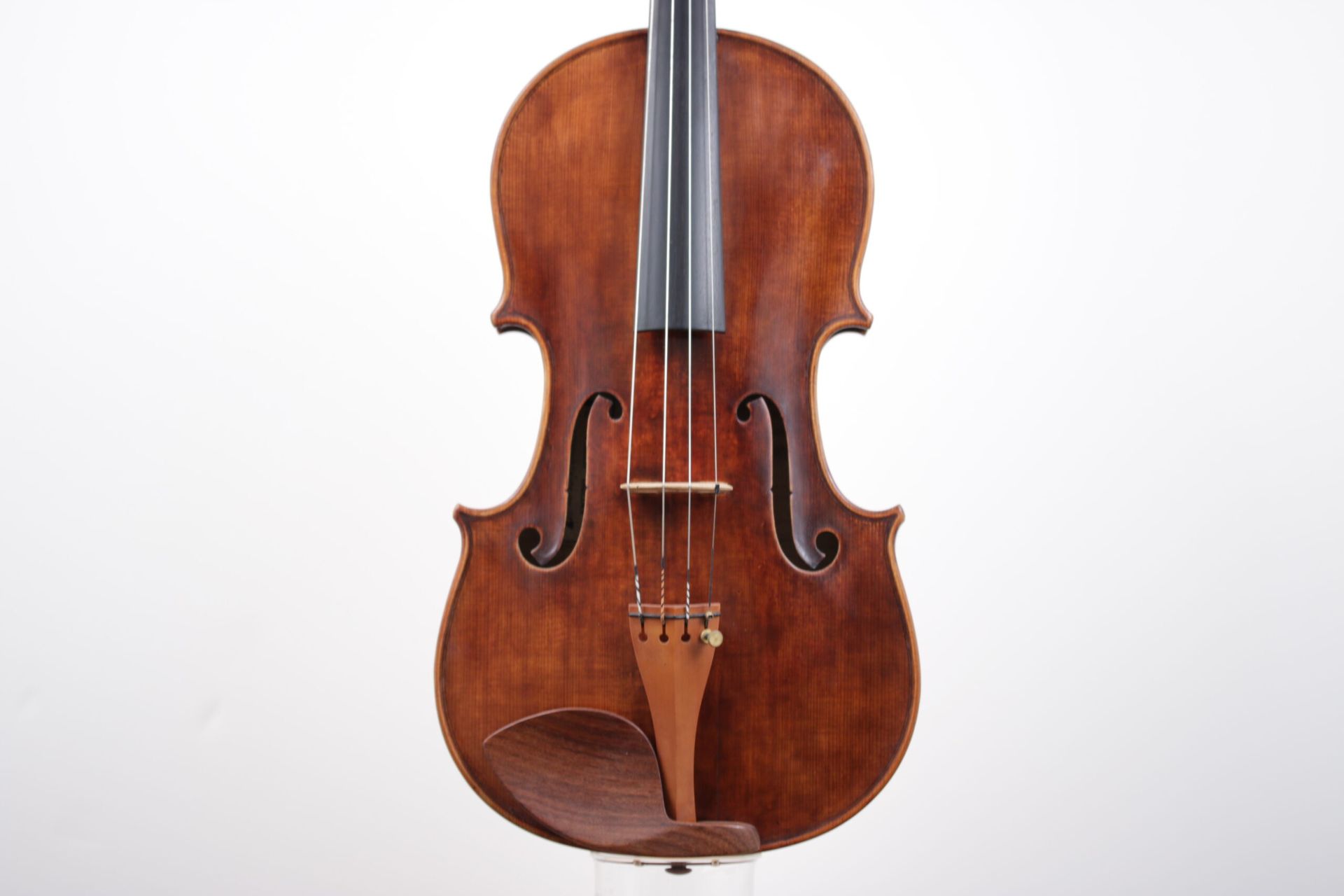 A close up of a violin on a white background