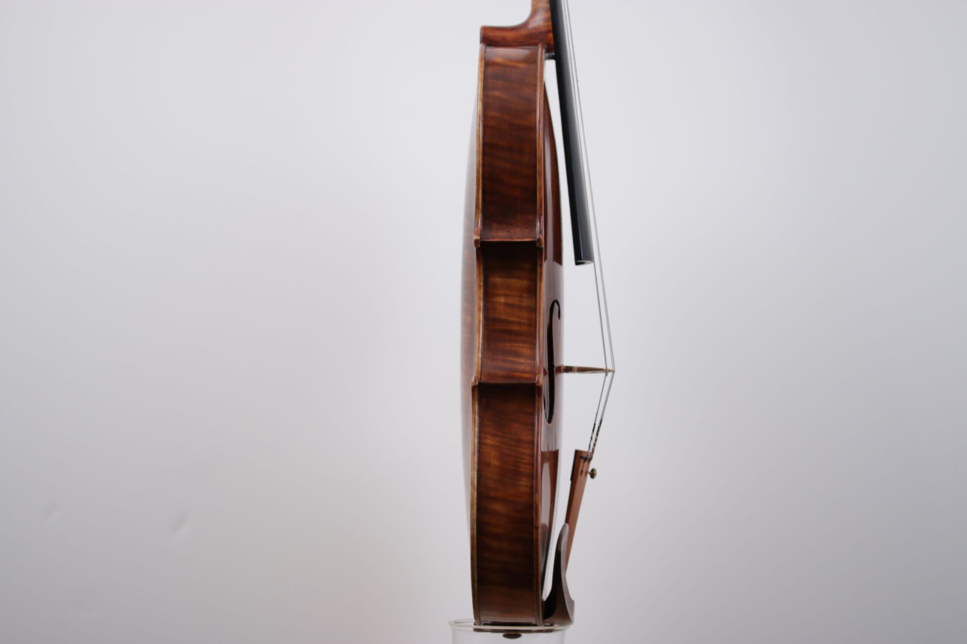 A close up of a violin on a white background.