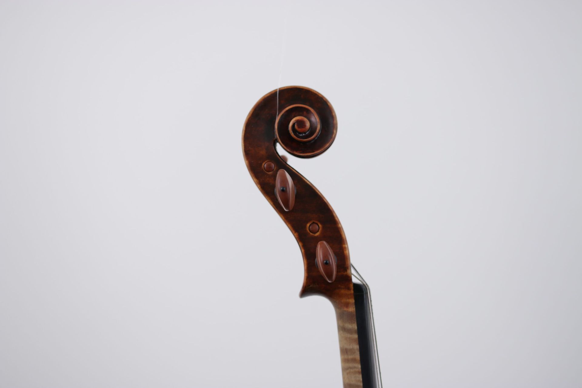 A close up of a violin headstock on a white background.