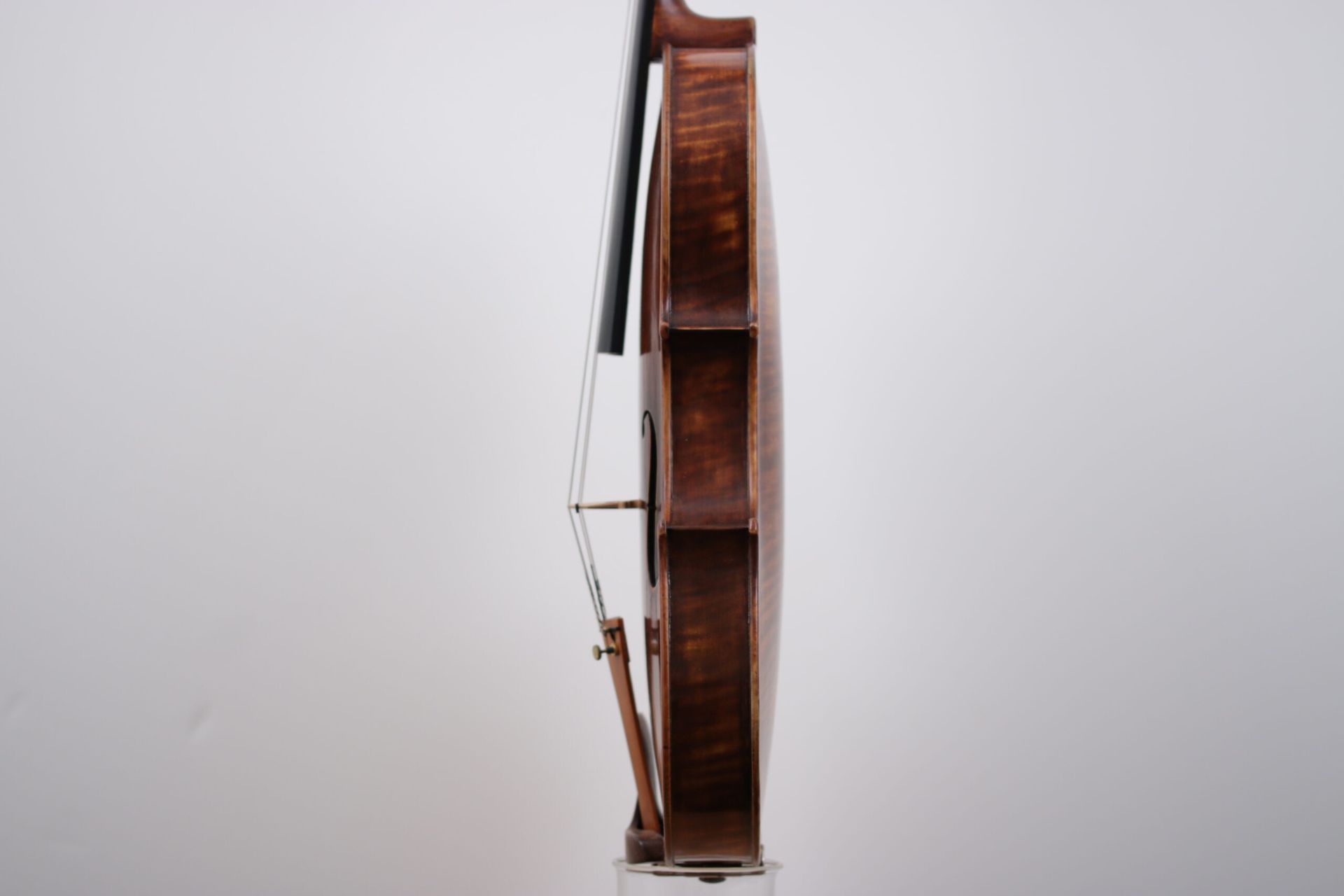 A close up of a violin on a white background