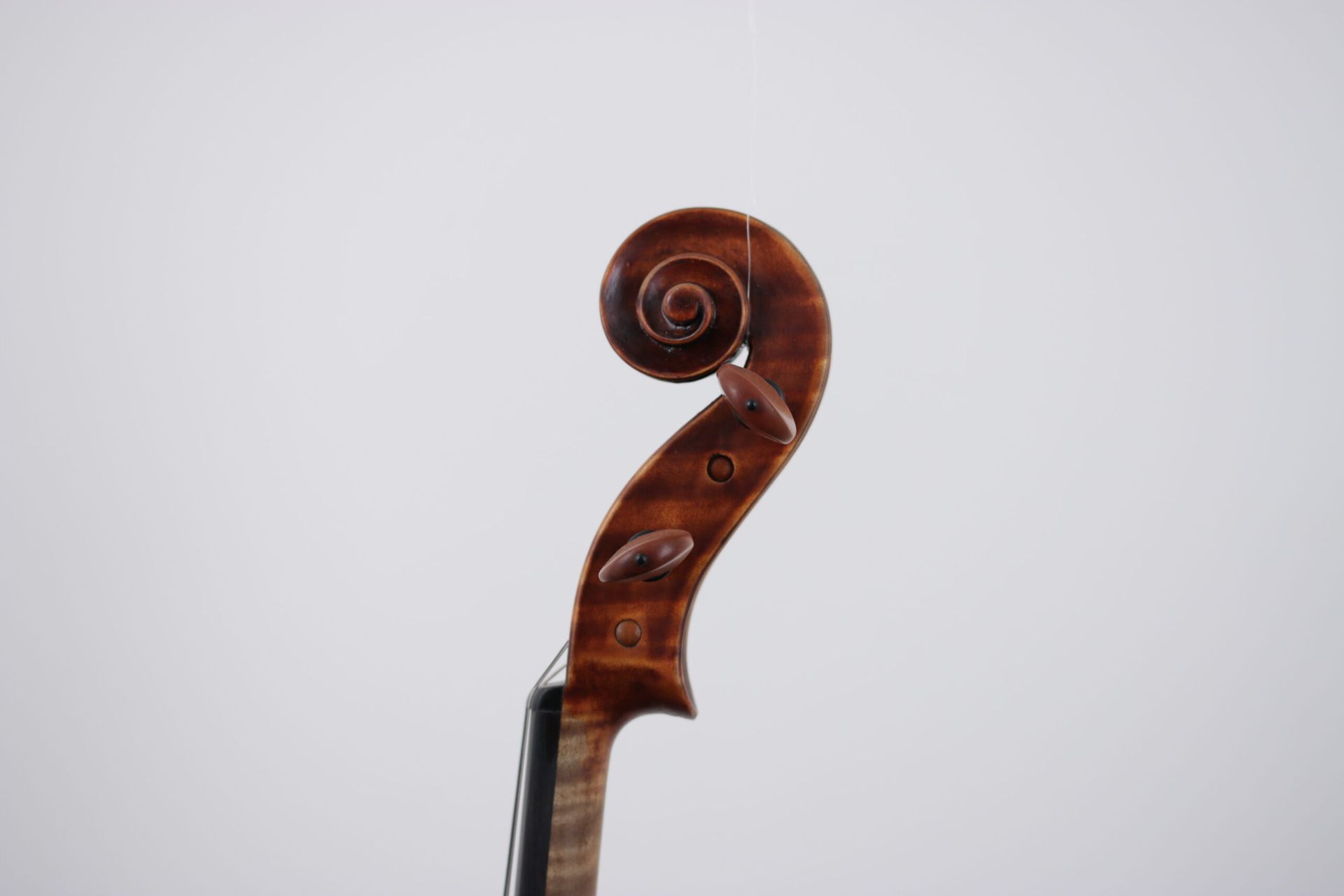 A close up of a violin headstock on a white background.