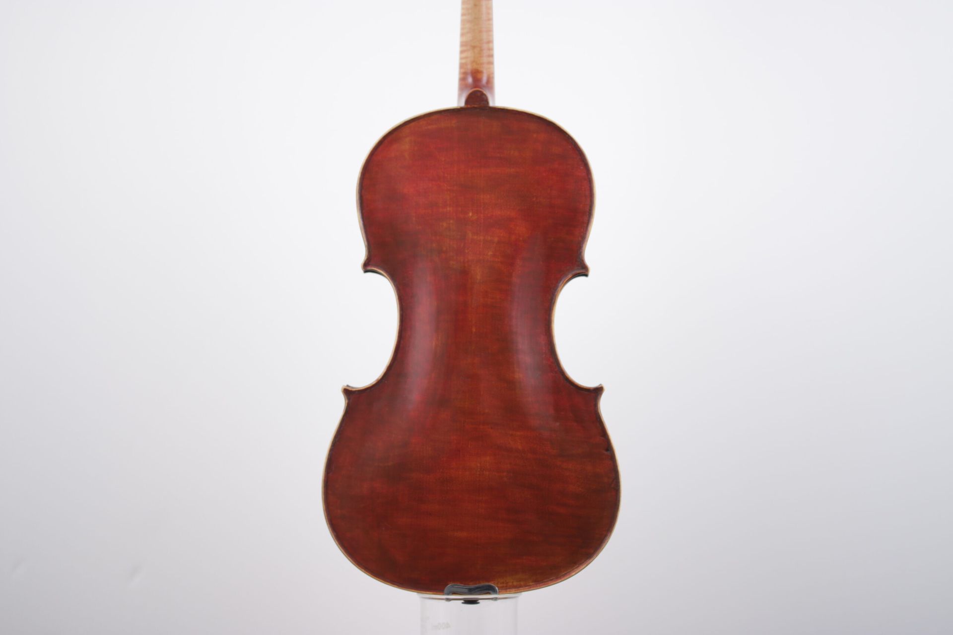 The back of a violin is shown on a white background.