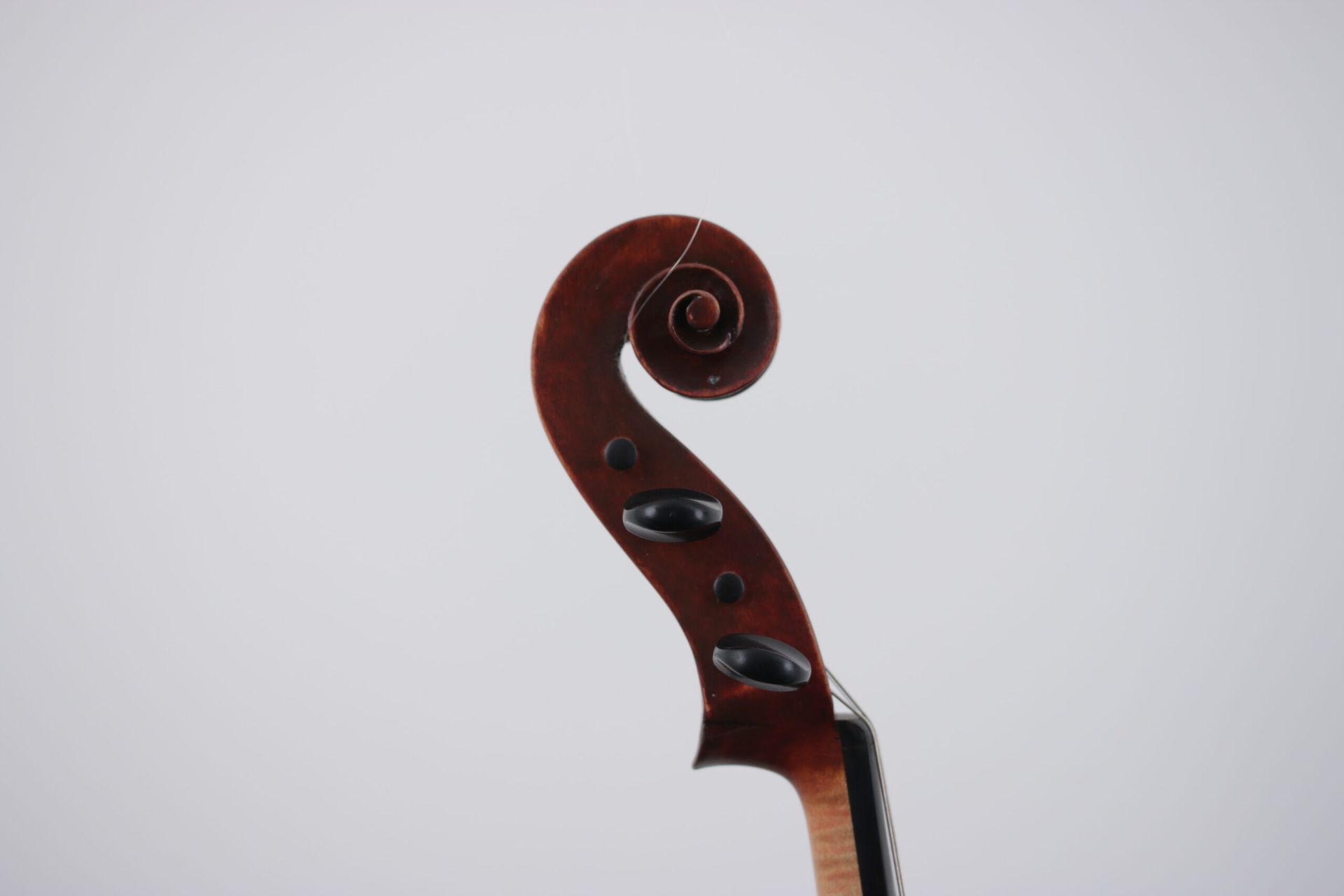 A close up of a violin head with a swirl on it