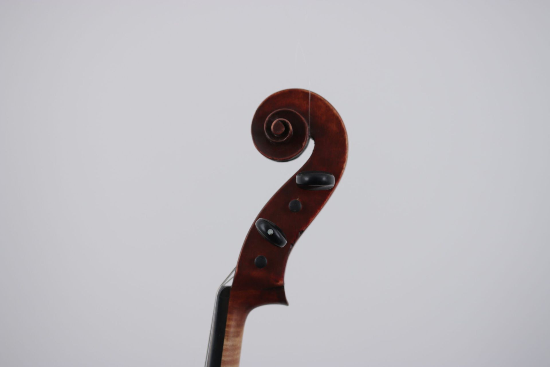 A close up of a violin scroll on a white background