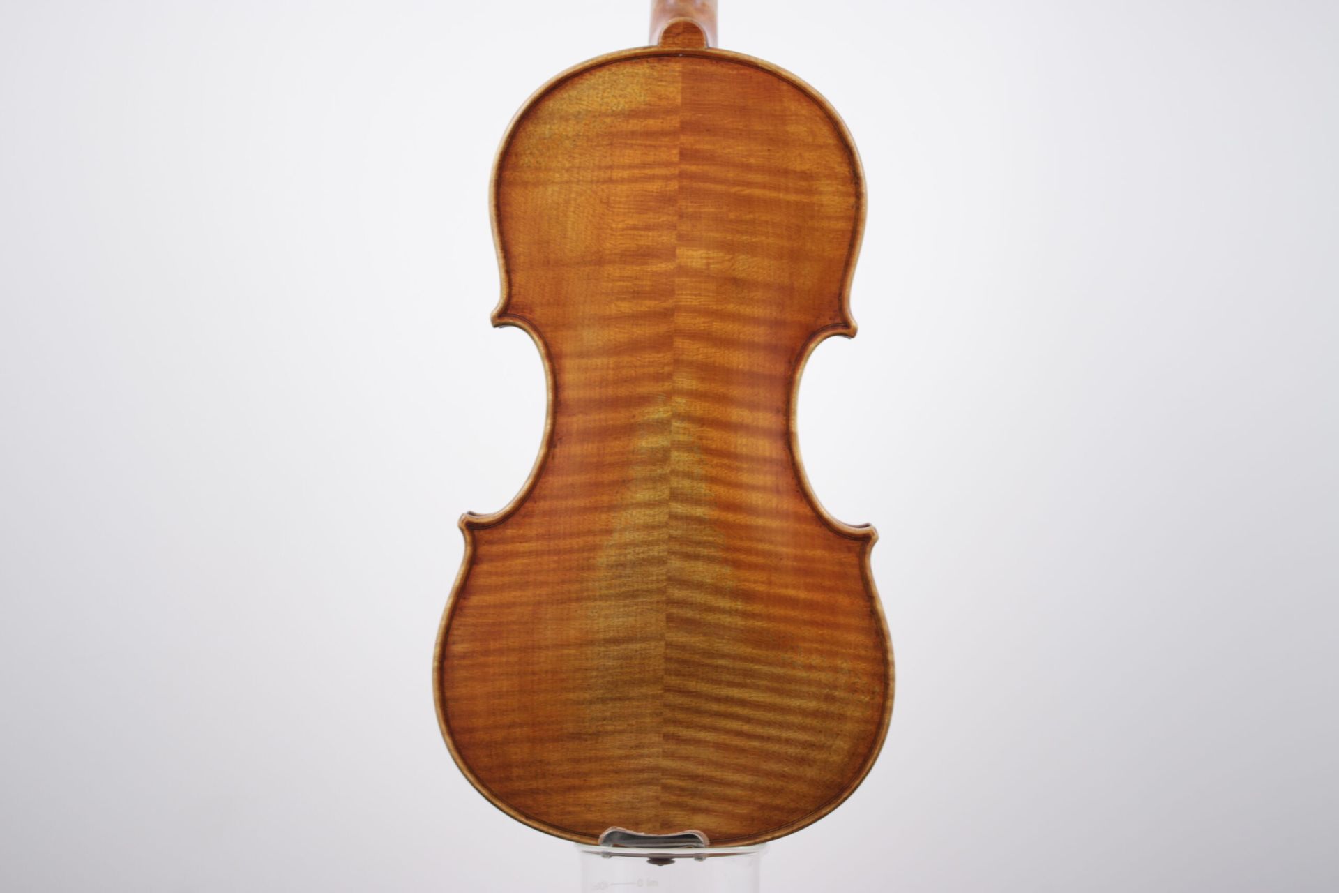The back of a violin is shown on a white background