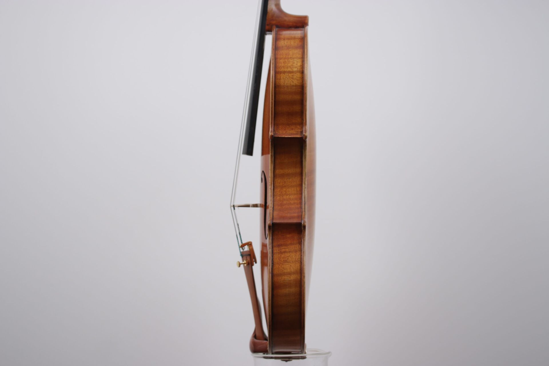 A close up of a violin on a white background.