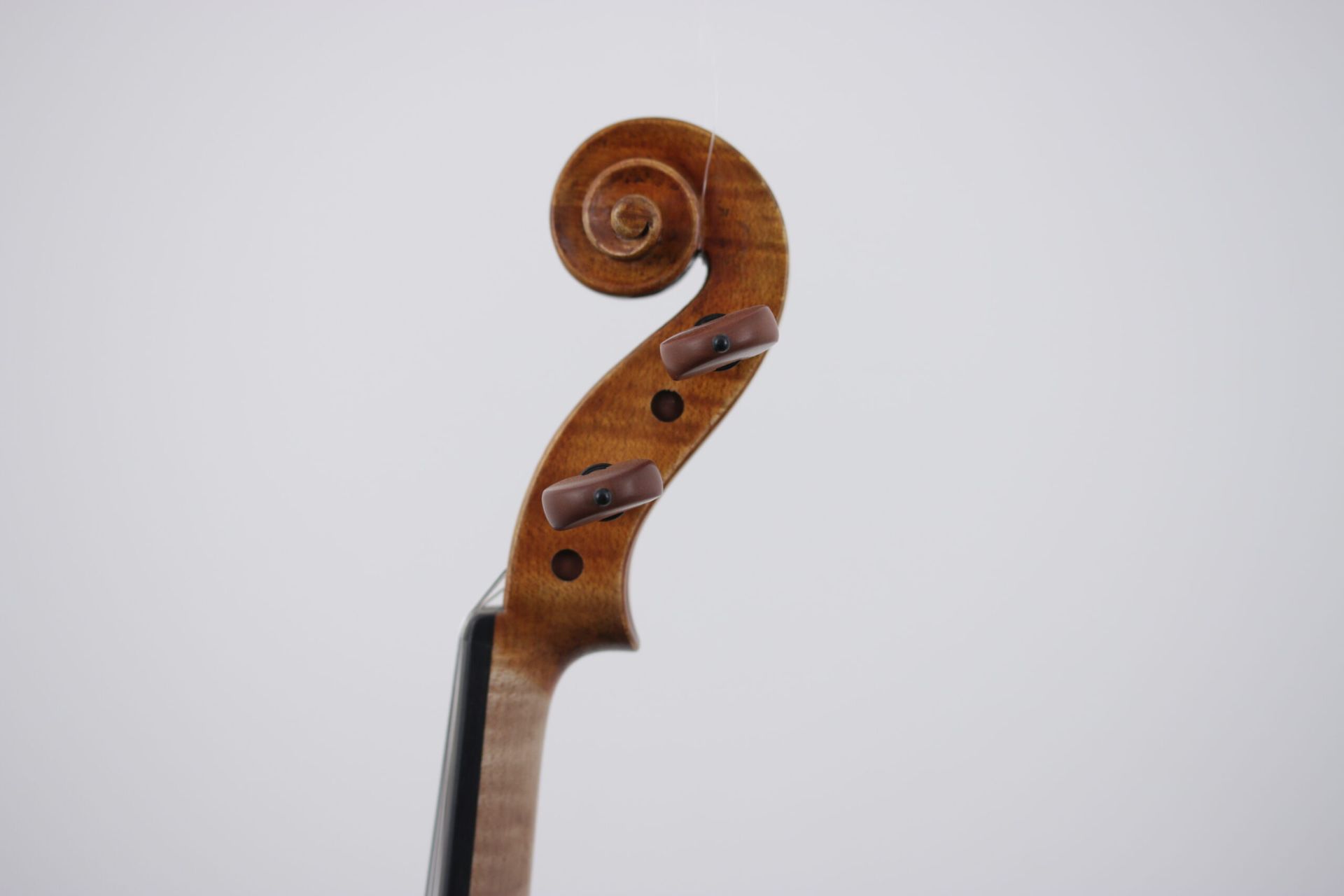A close up of a violin head on a white background