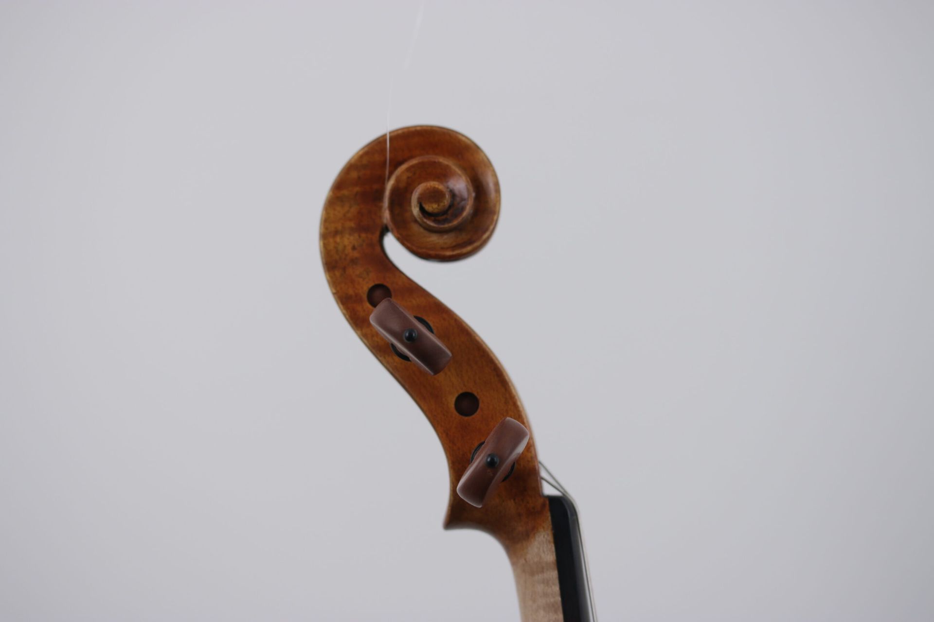 A close up of a violin head with a spiral on it