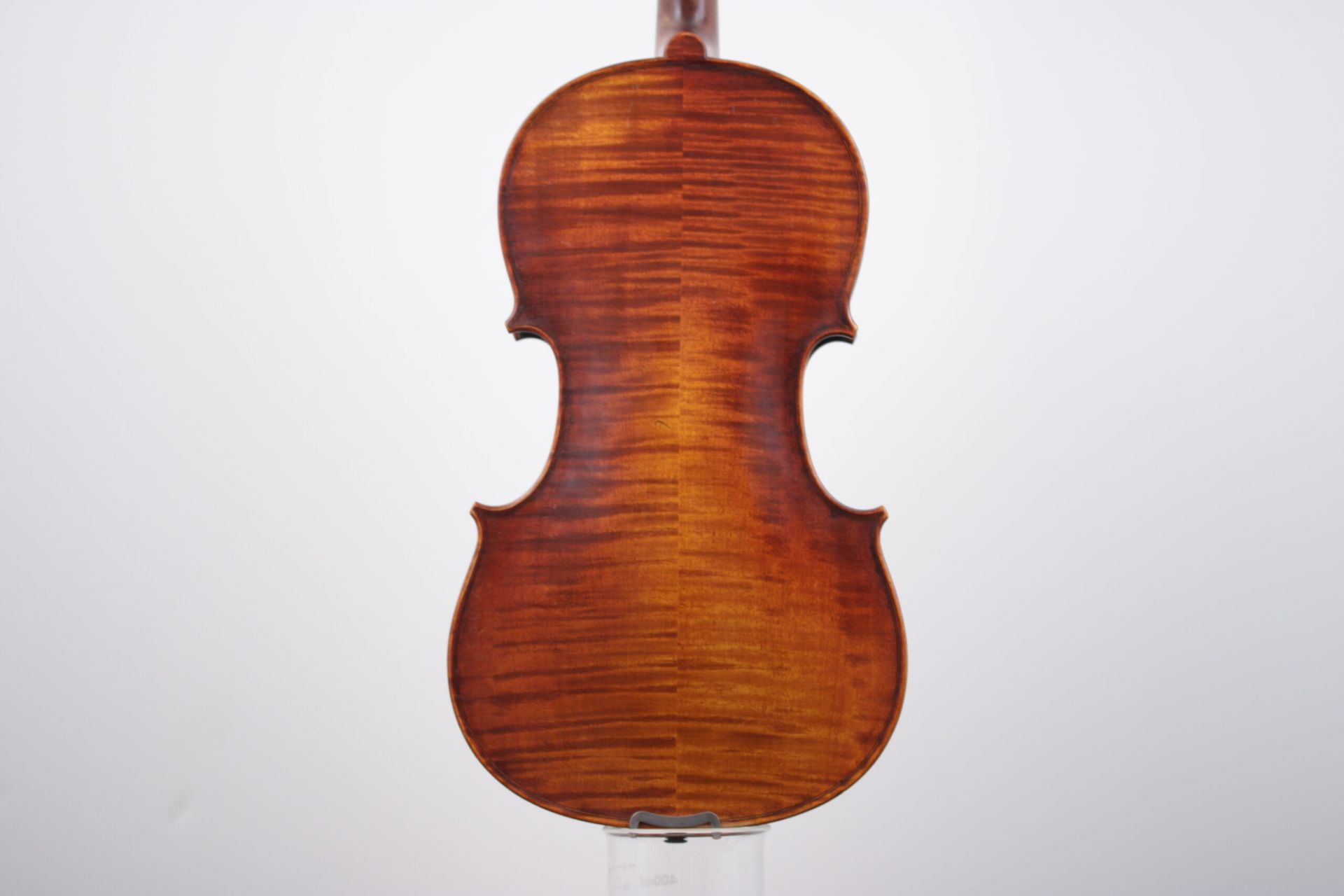 The back of a violin is shown on a white background