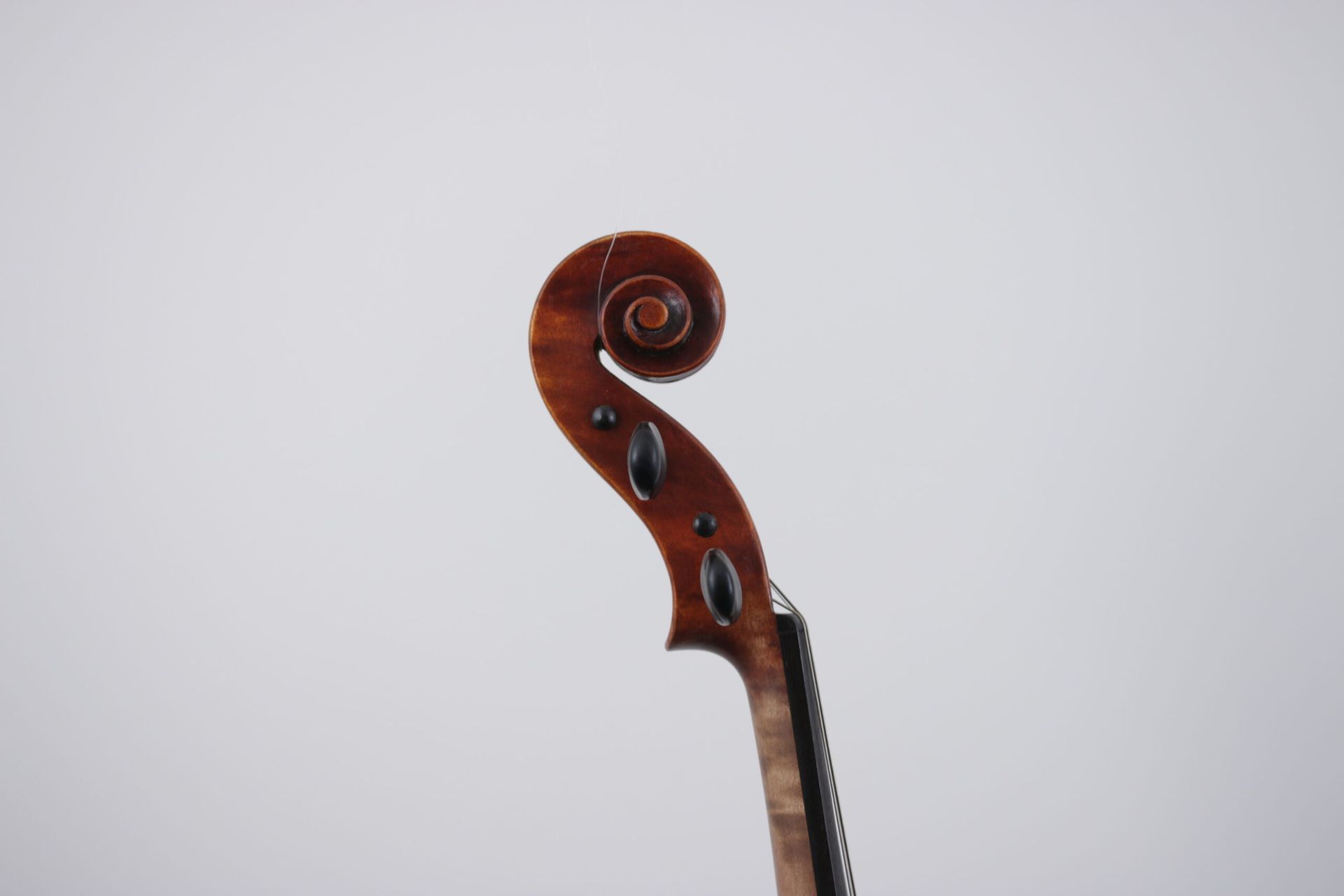 A close up of a violin scroll on a white background