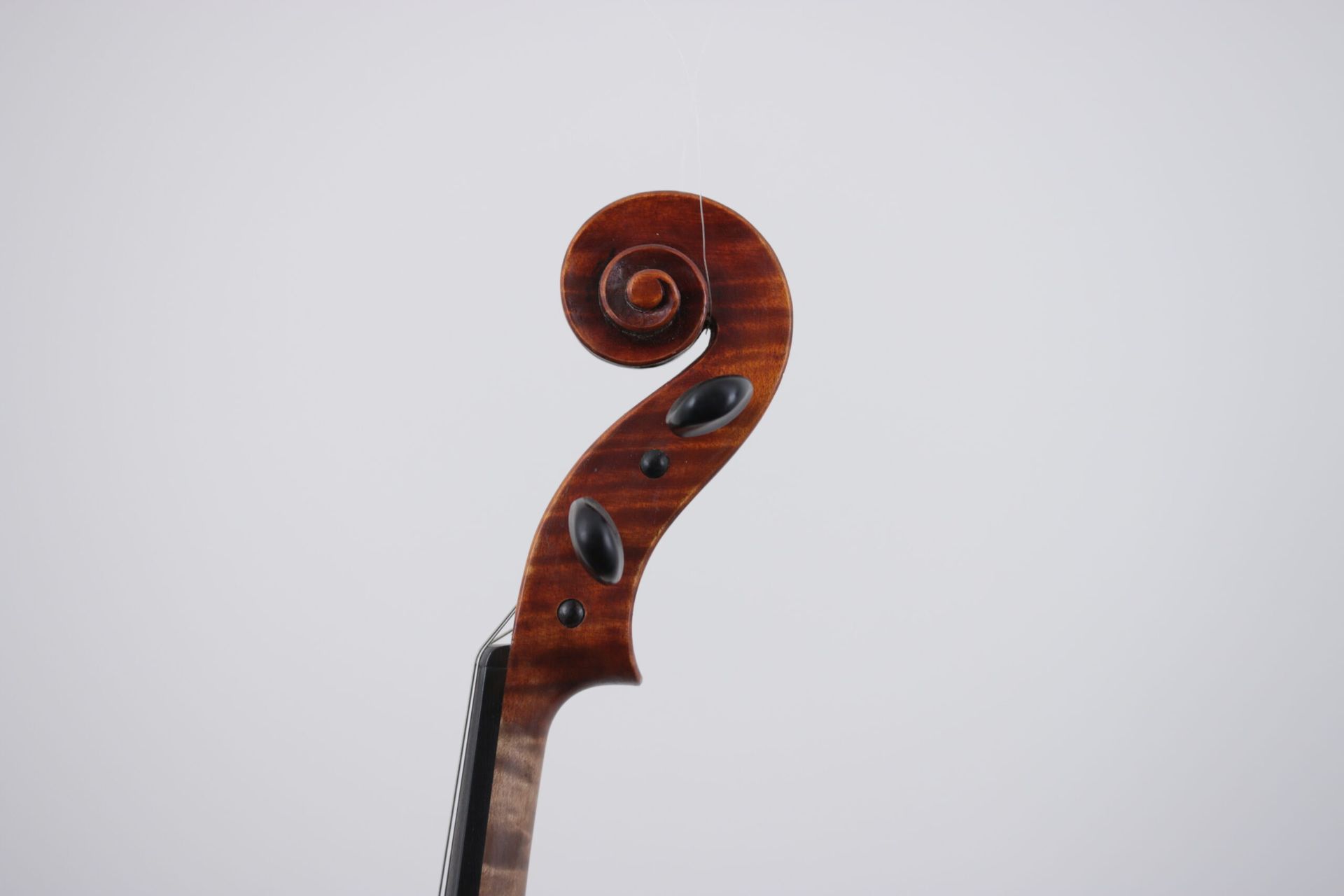 A close up of a violin scroll on a white background