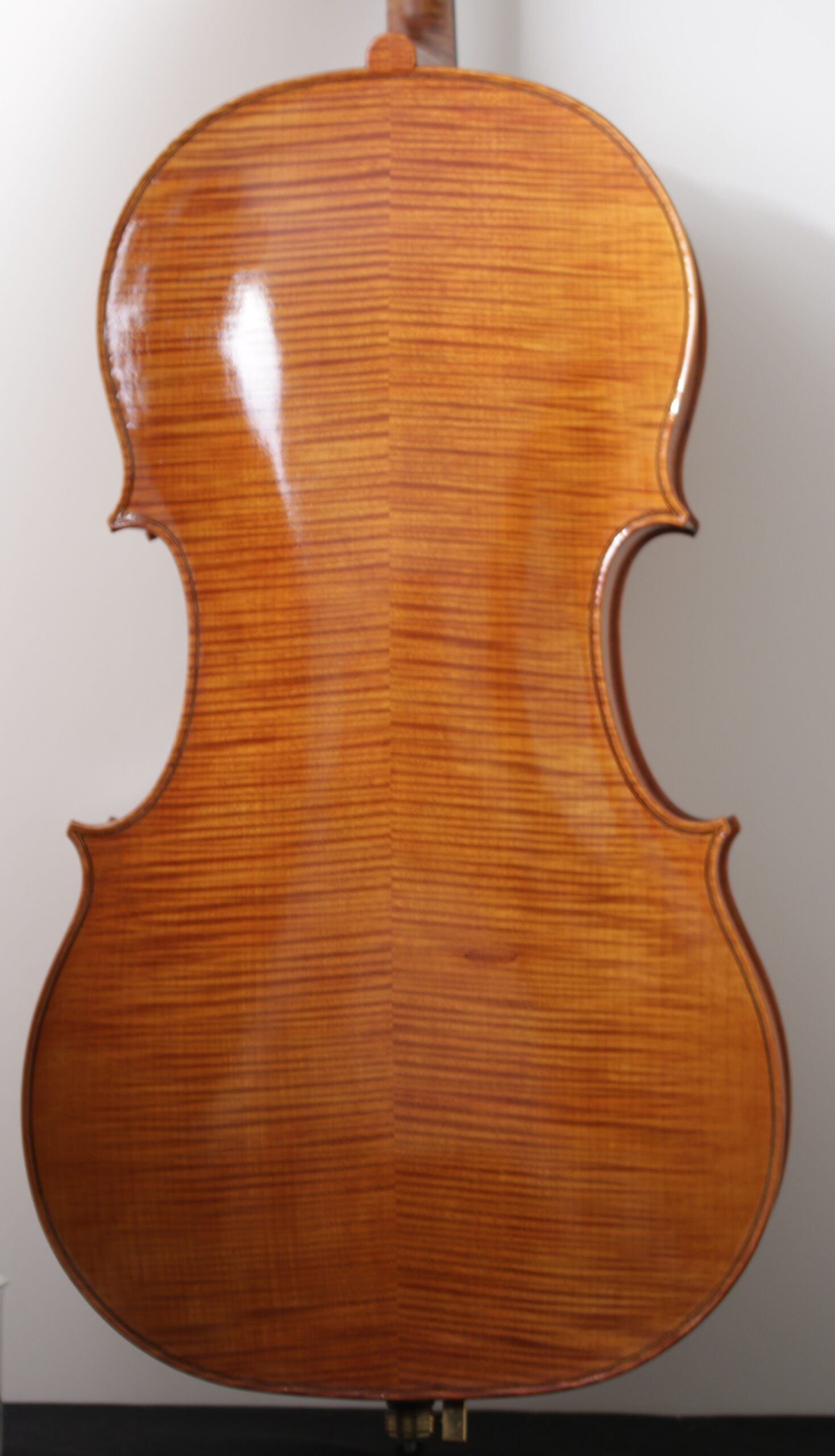 The back of a cello is shown against a white wall