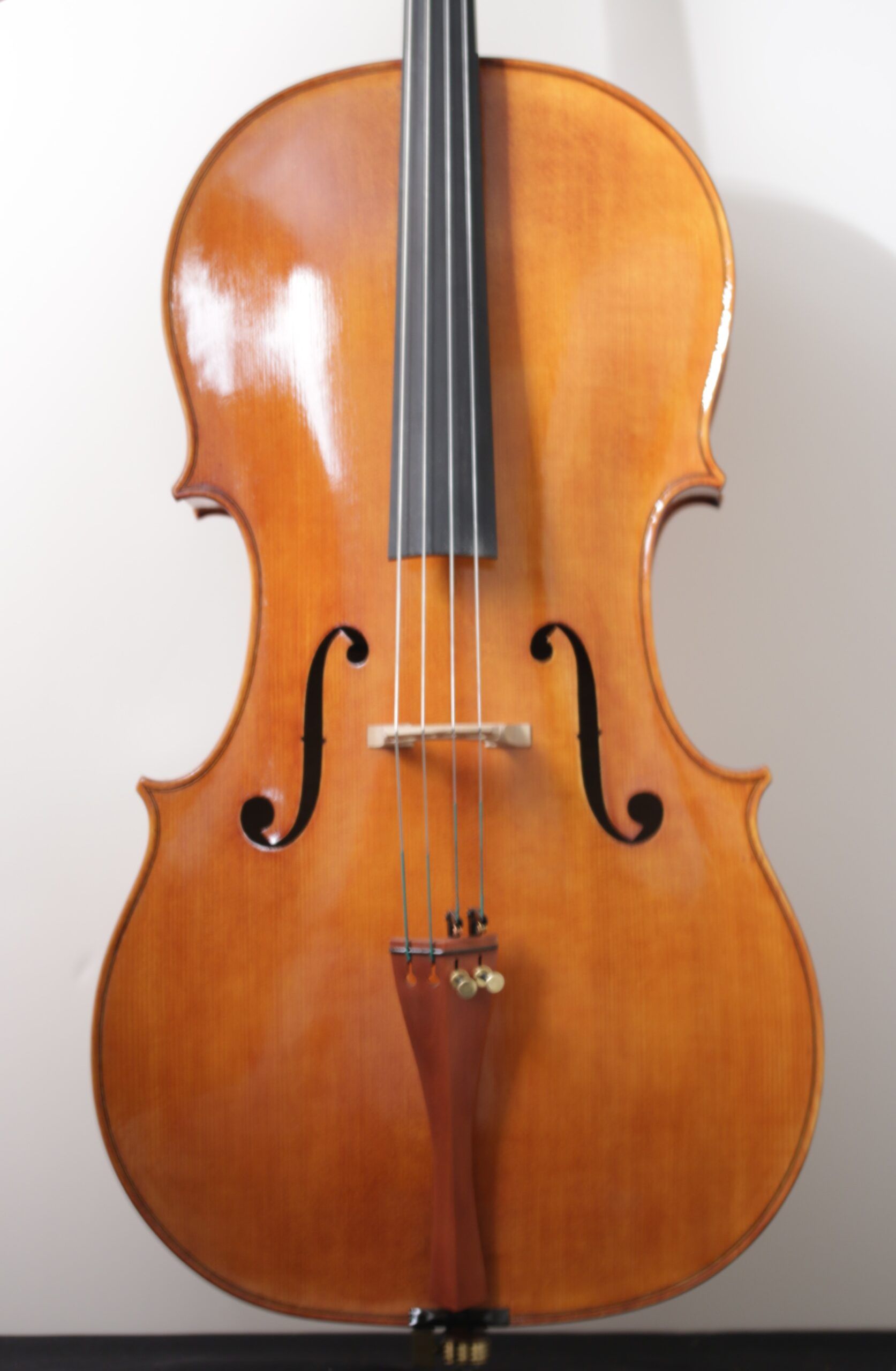 A cello with the letter s on it