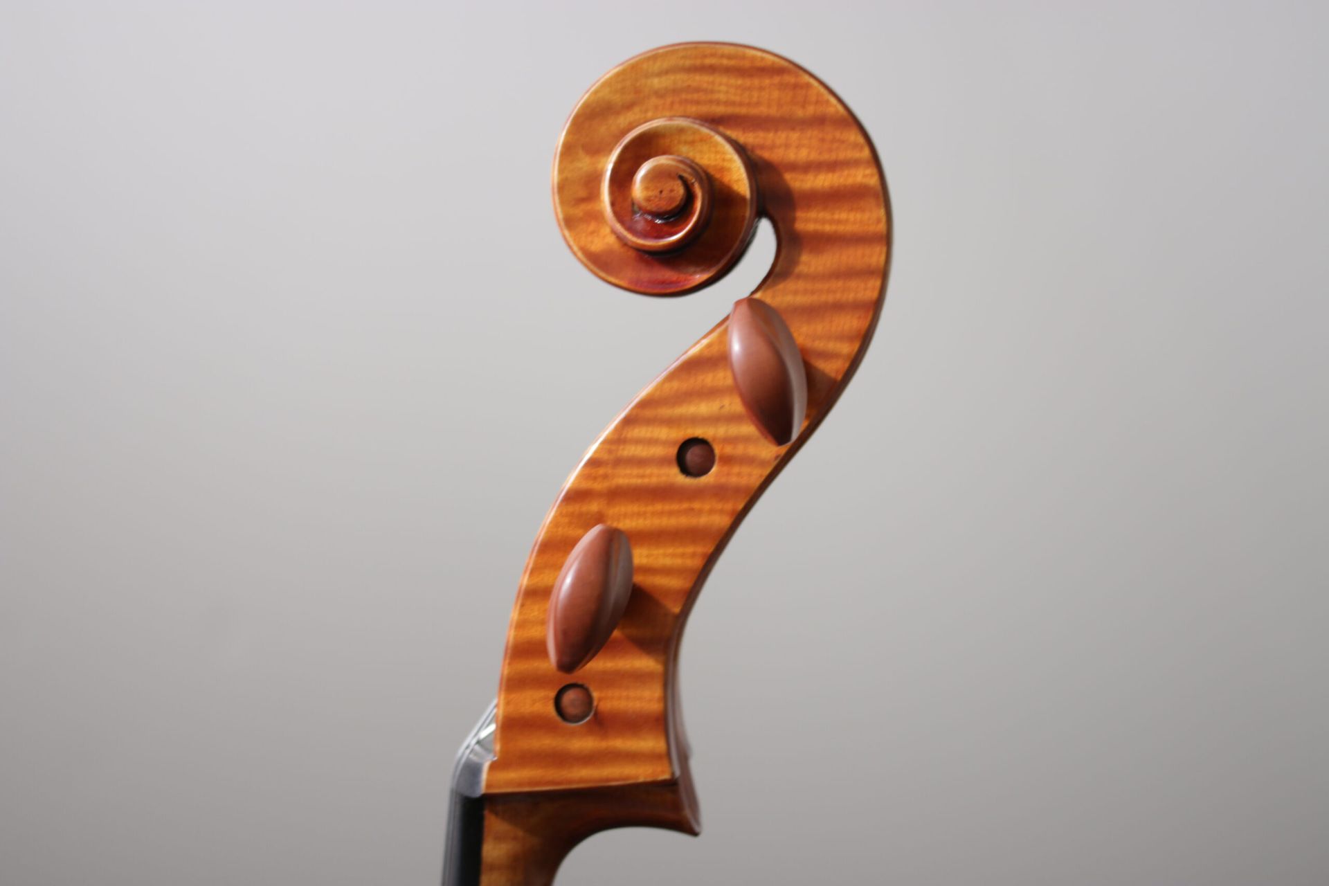 A close up of a violin head with a spiral on it