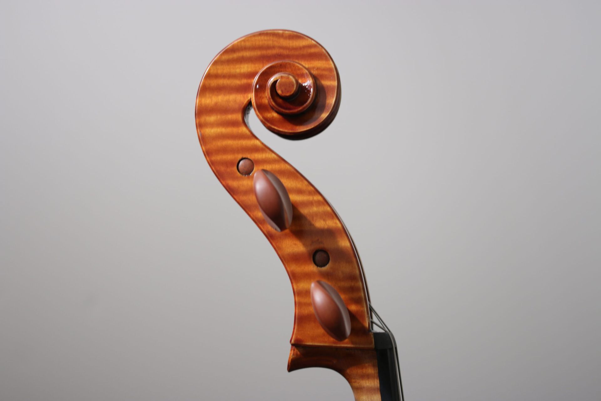 A close up of the headstock of a violin