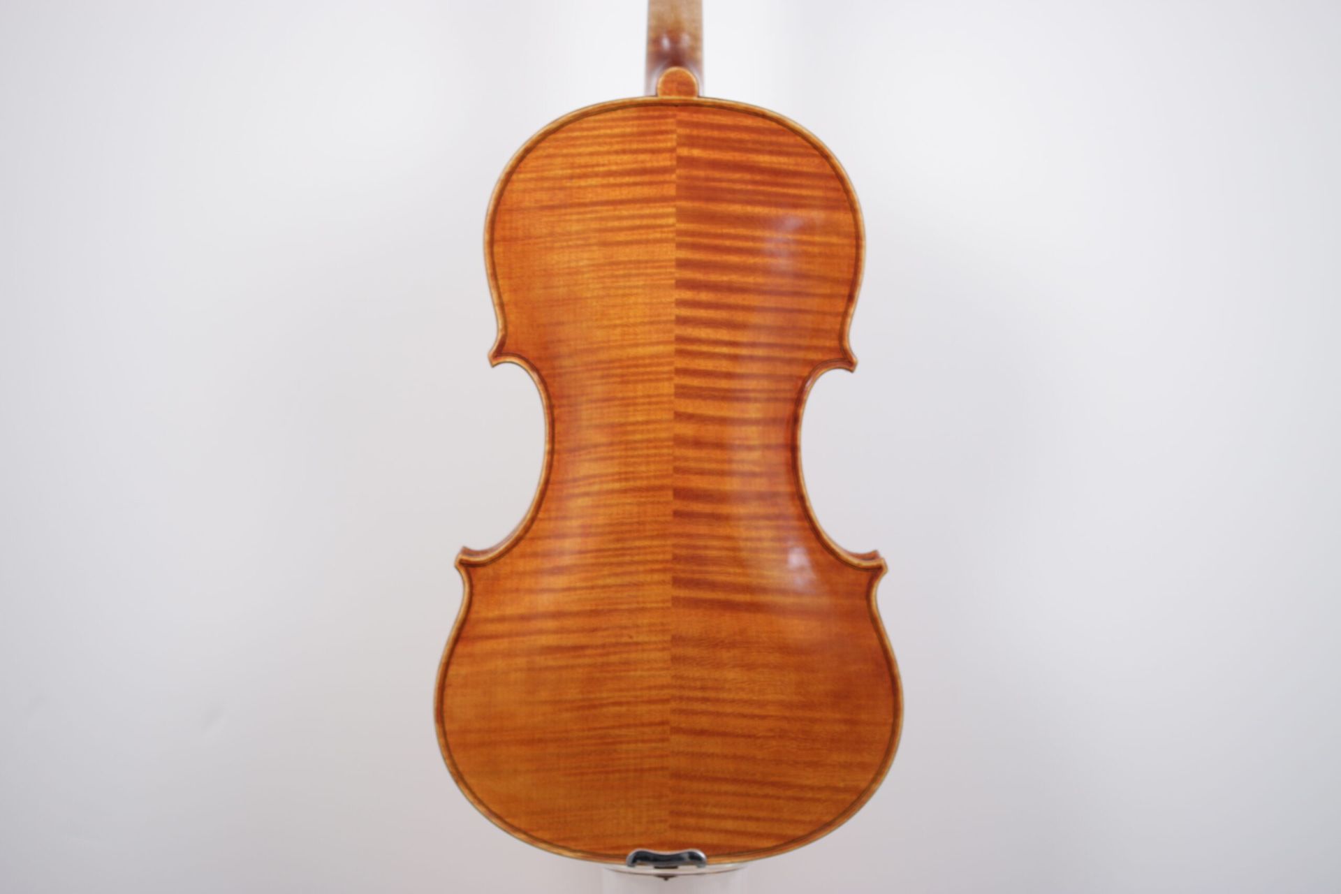The back of a violin is shown on a white background.