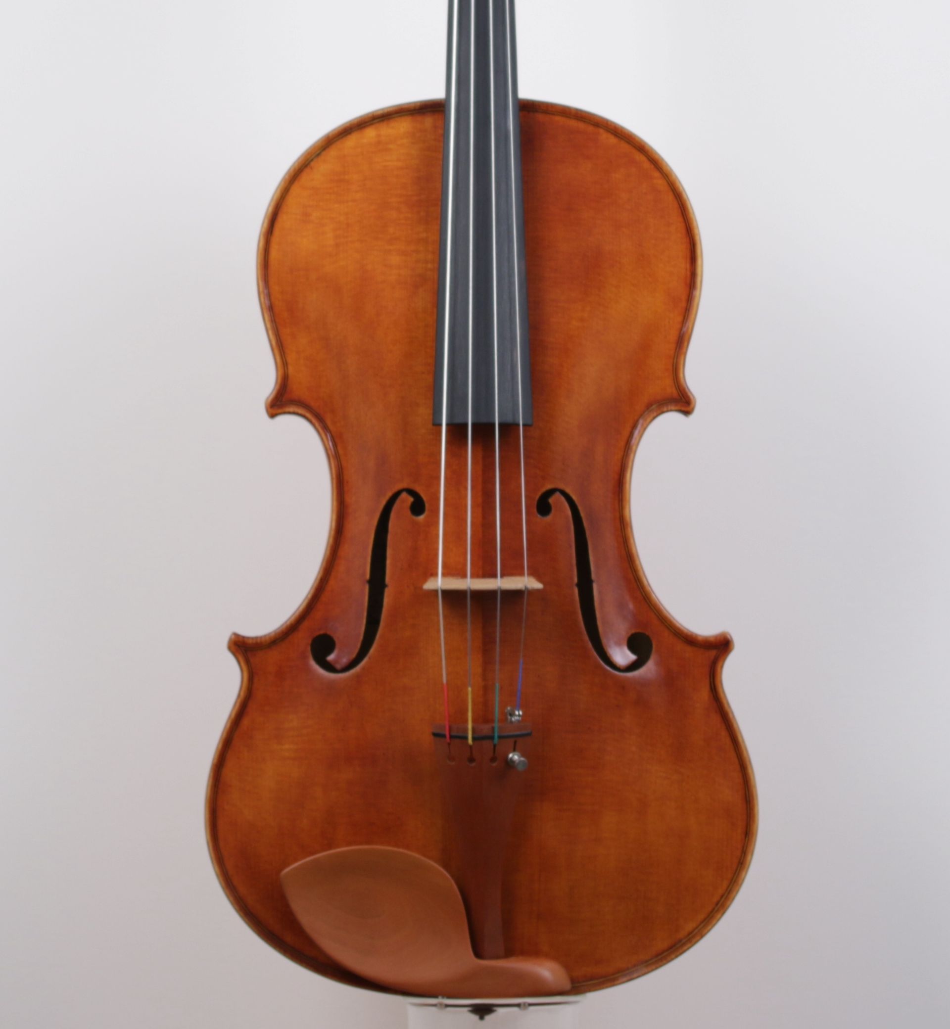 A violin with the letter s on it