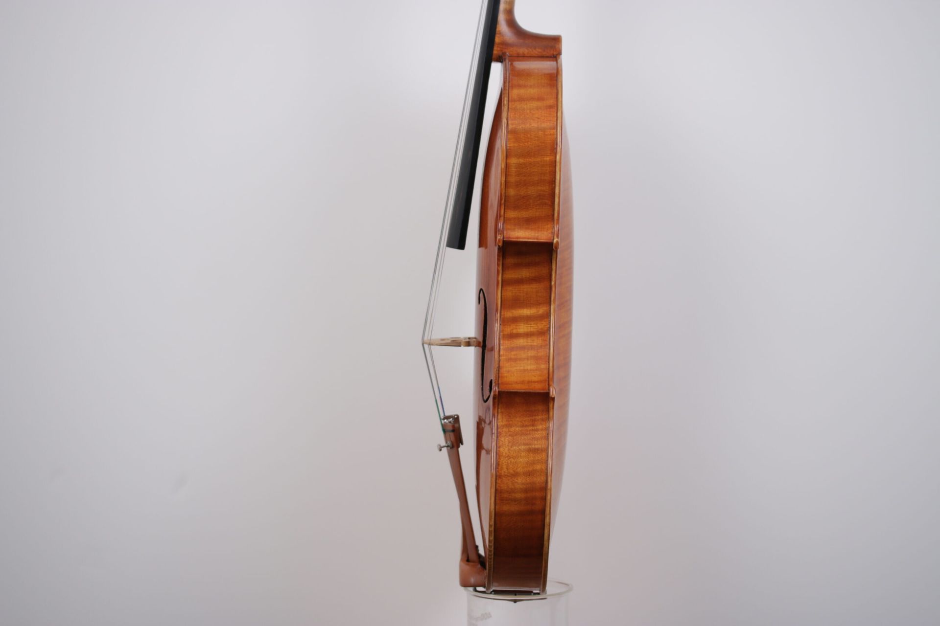 A close up of a violin on a white background