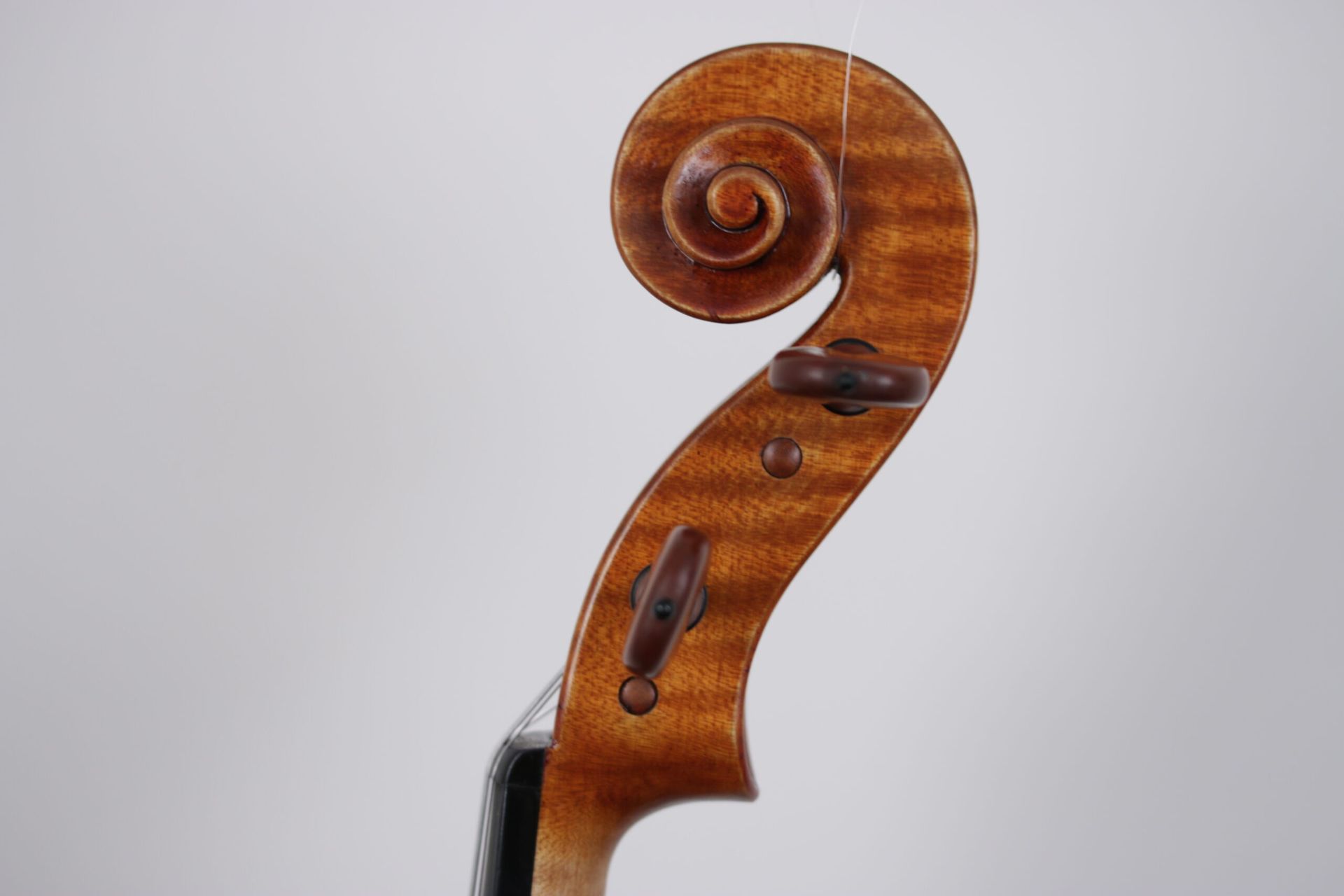 A close up of a violin head with a spiral on it