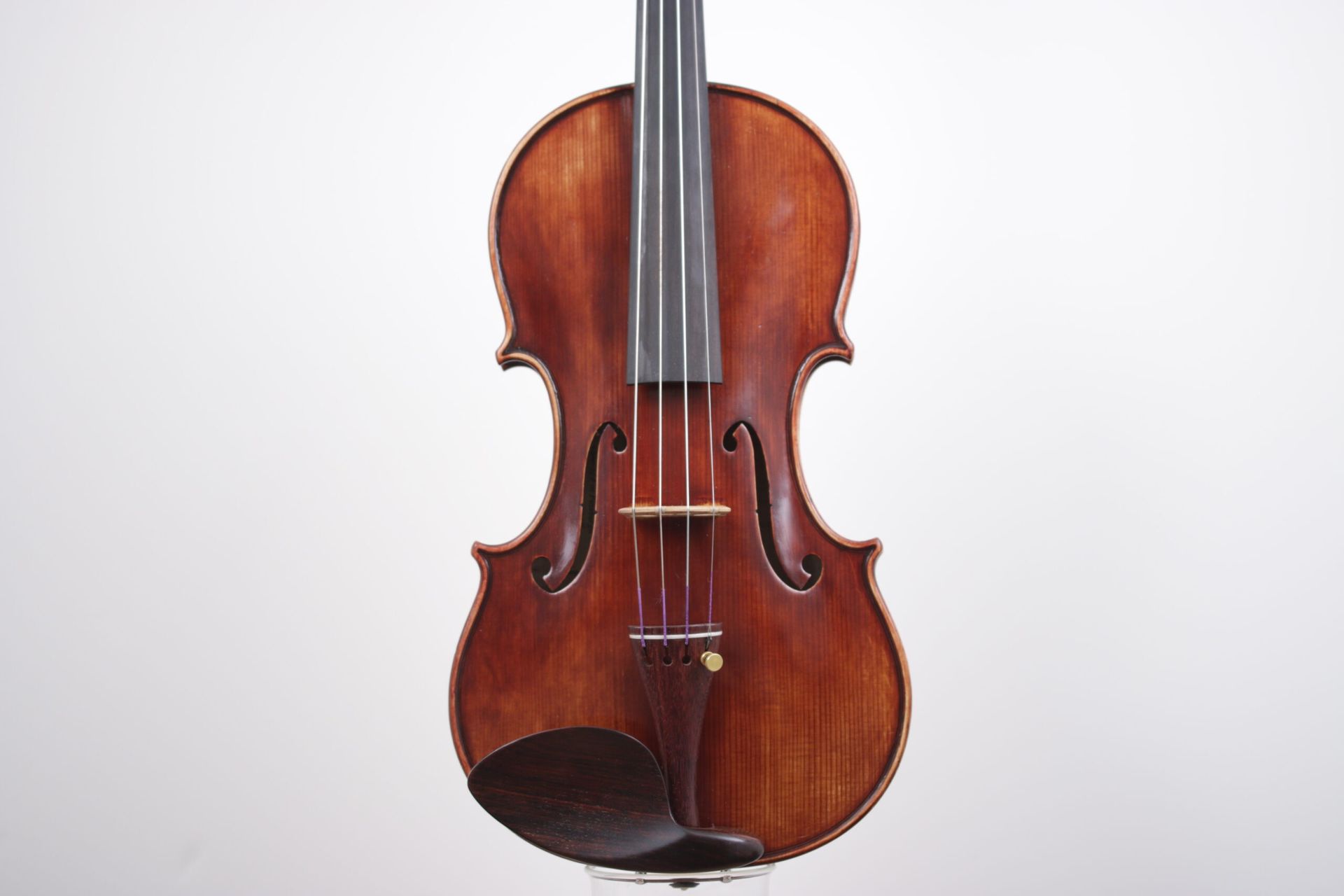 A close up of a violin on a white background