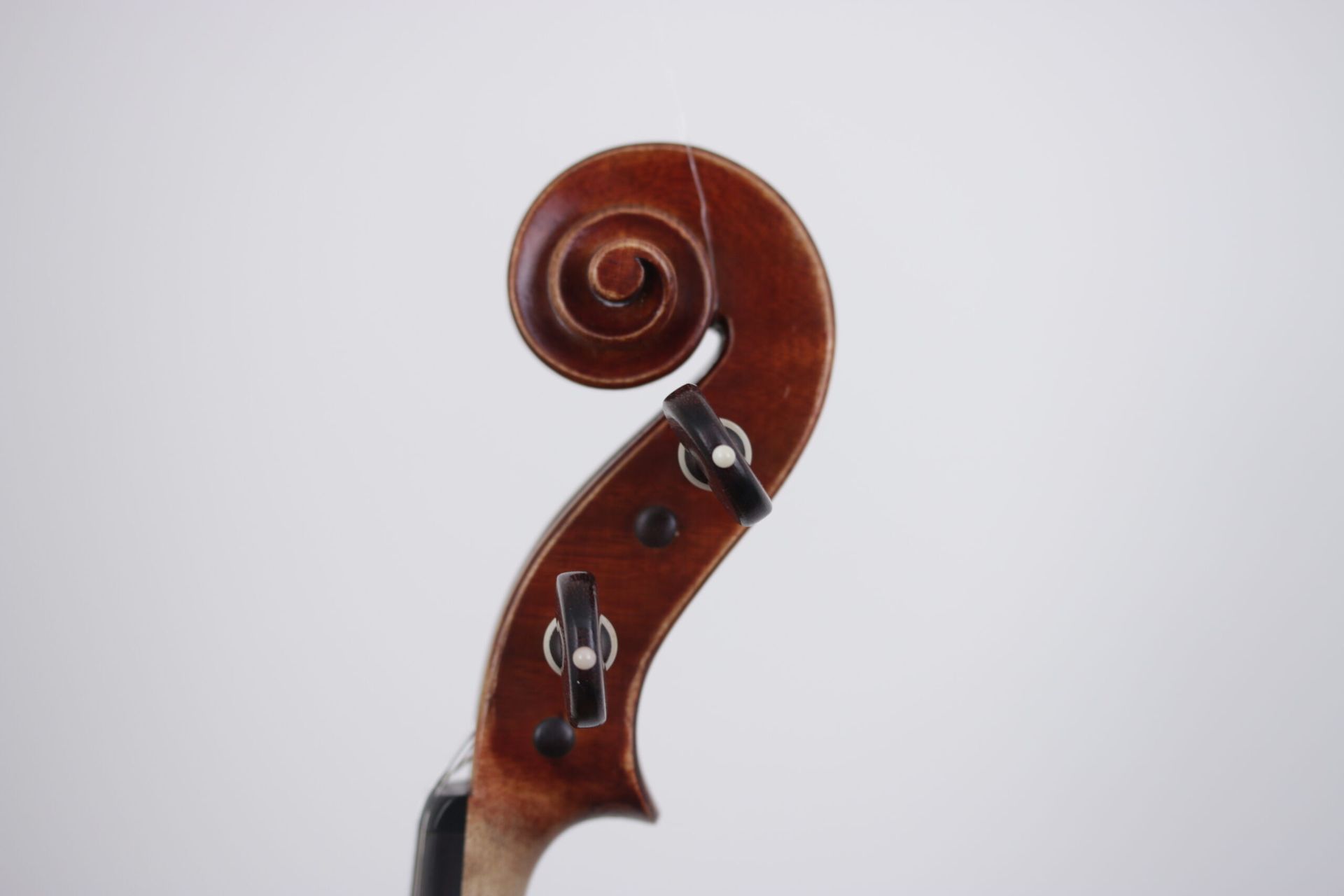 A close up of a violin head with a spiral on it
