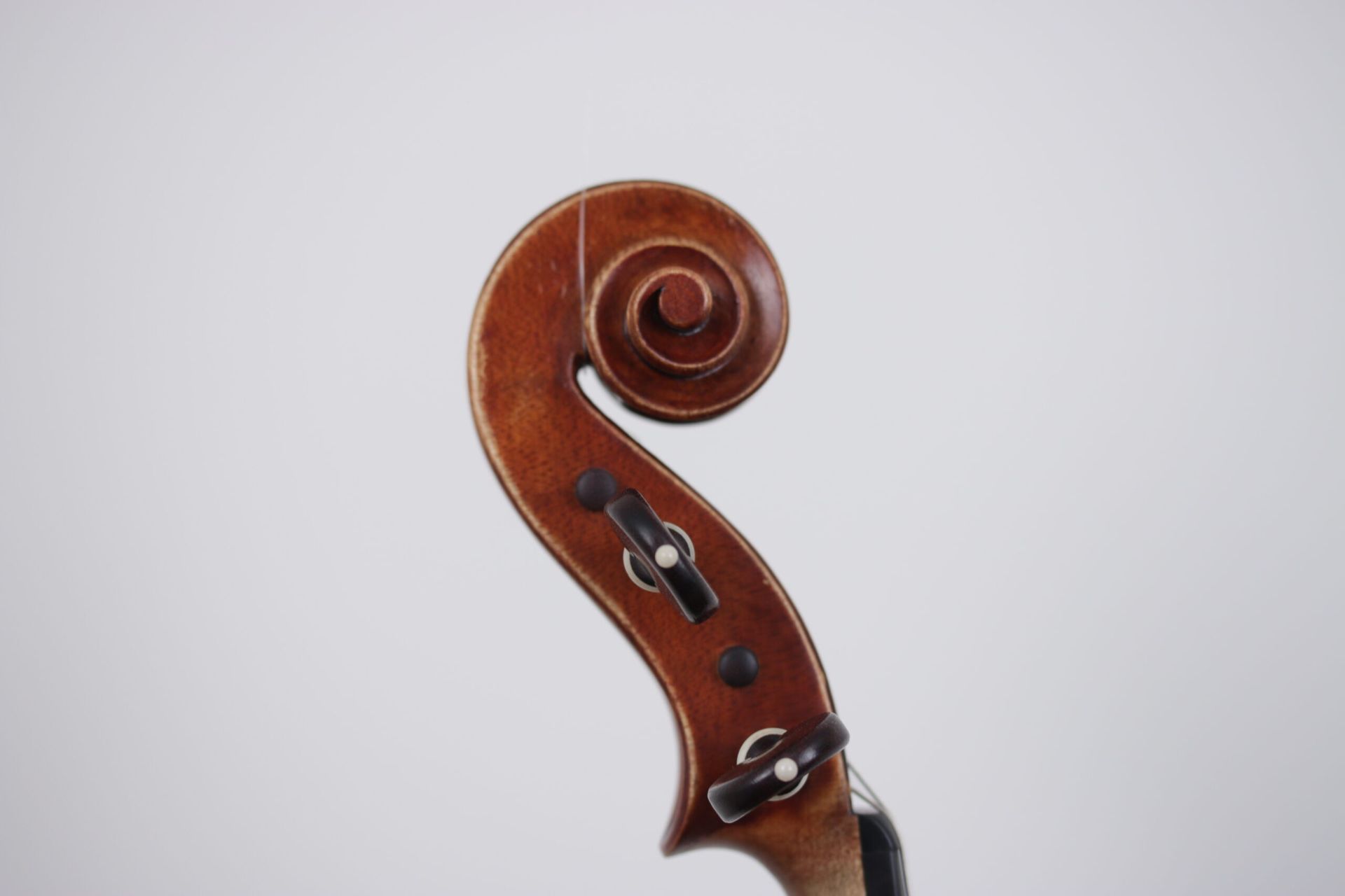 A close up of a violin head with a swirl on it