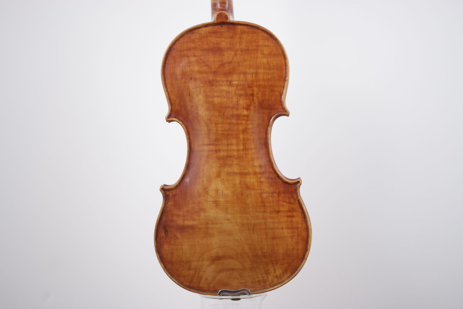 The back of a violin is shown on a white background.