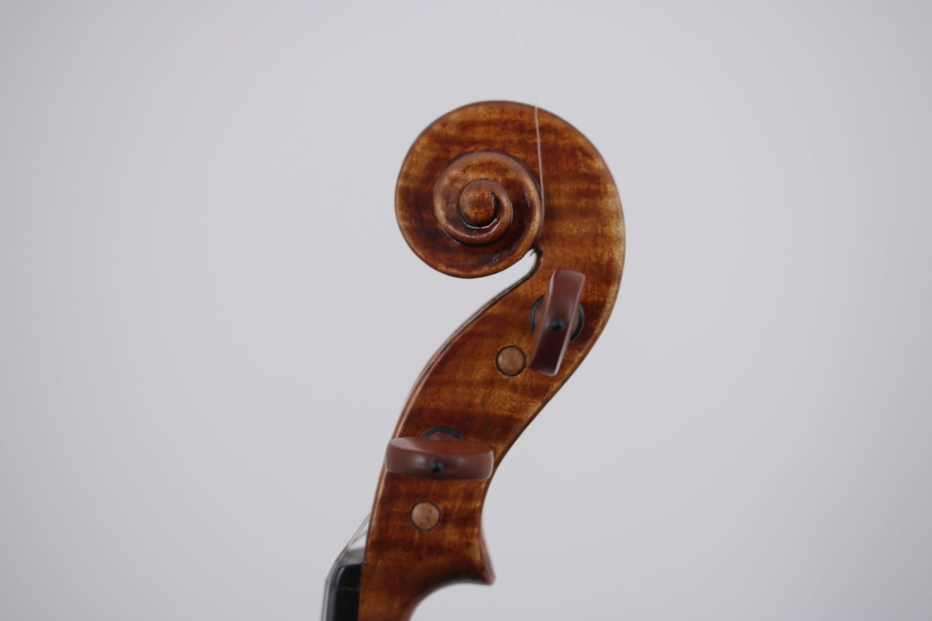 A close up of a violin scroll on a white background.