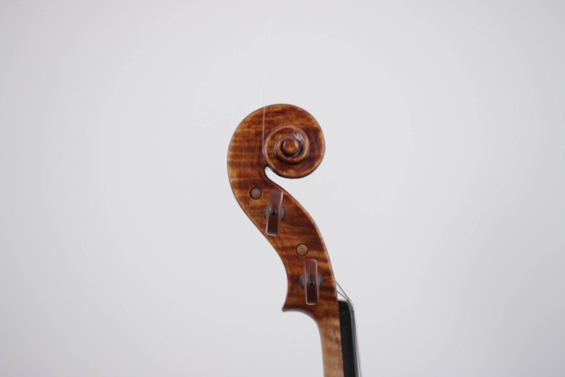 A close up of a violin scroll on a white background.
