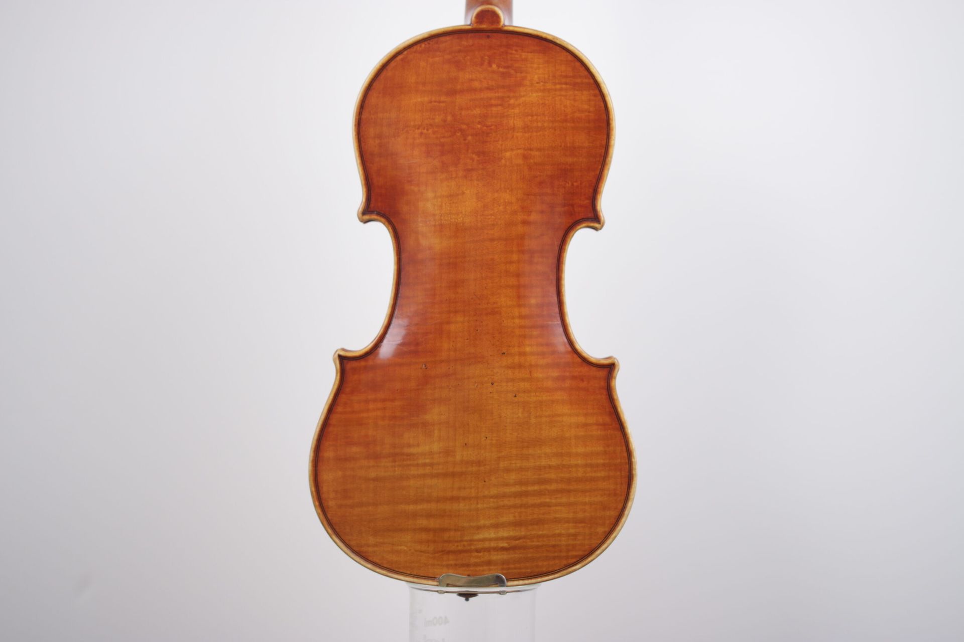 The back of a violin is shown on a white background.