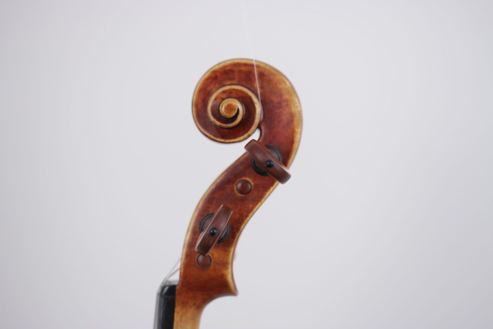 A close up of a violin headstock on a white background.