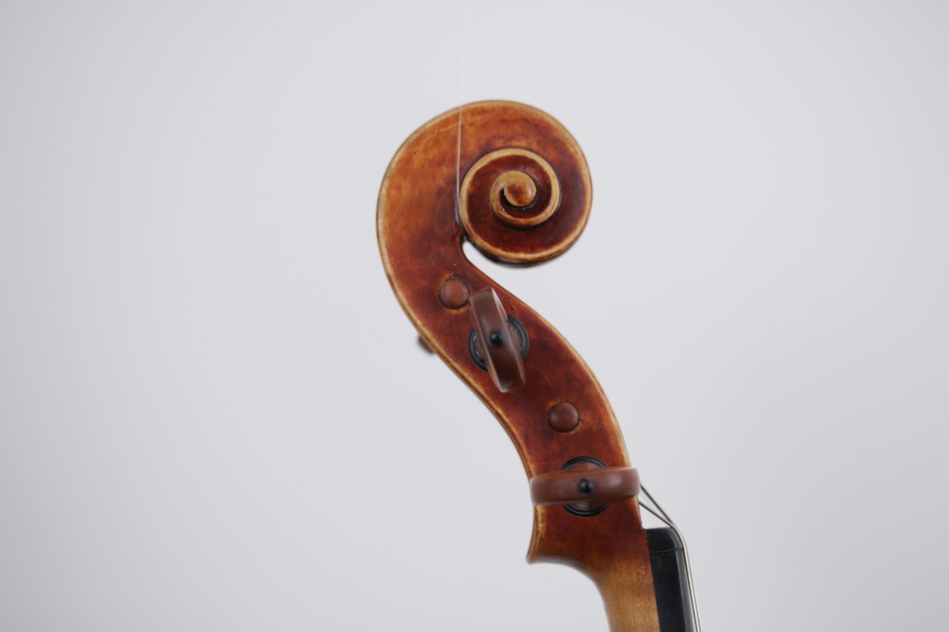 A close up of a violin head on a white background.